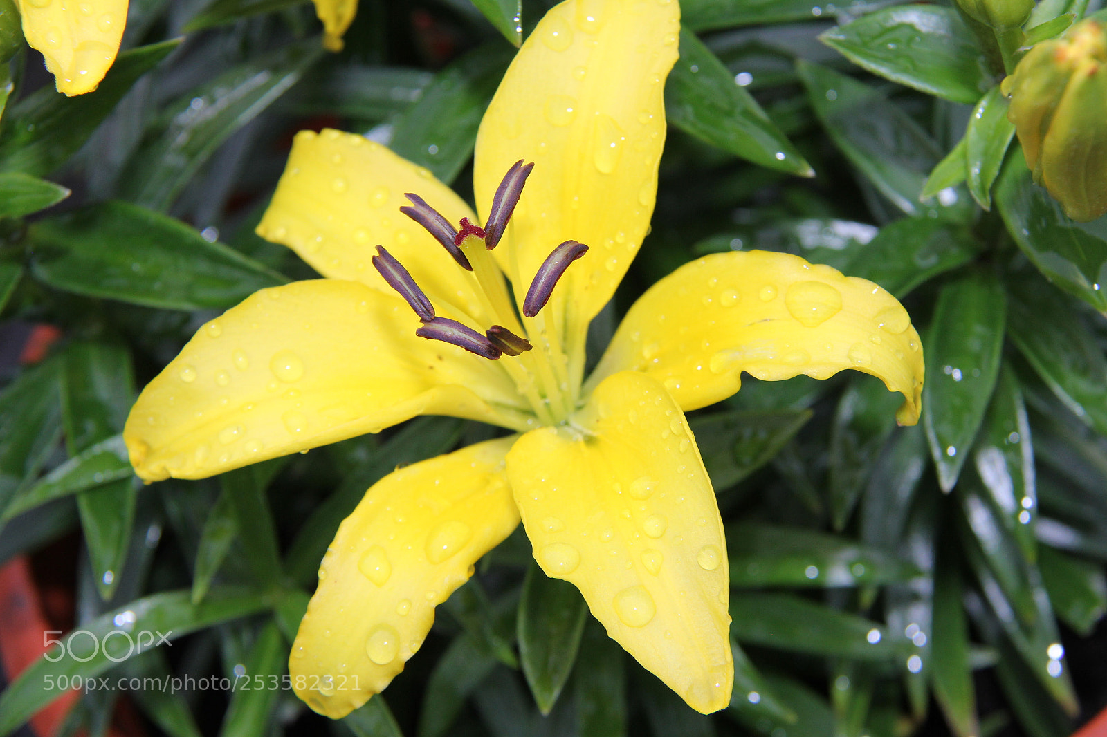 Canon EF-S 18-200mm F3.5-5.6 IS sample photo. Img photography