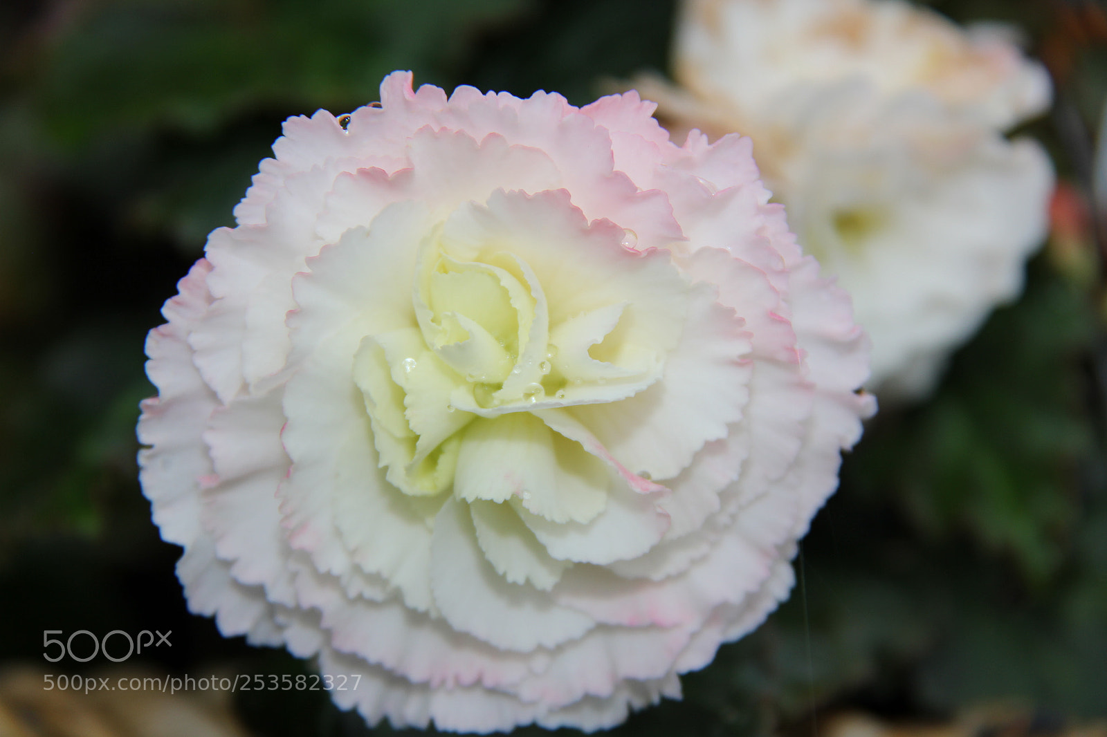 Canon EF-S 18-200mm F3.5-5.6 IS sample photo. Img photography