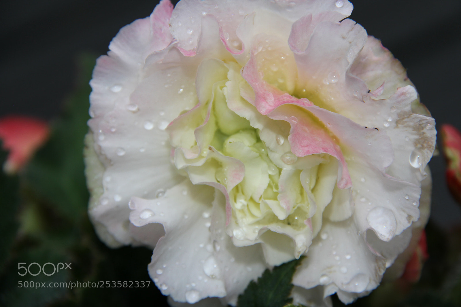 Canon EF-S 18-200mm F3.5-5.6 IS sample photo. Img photography