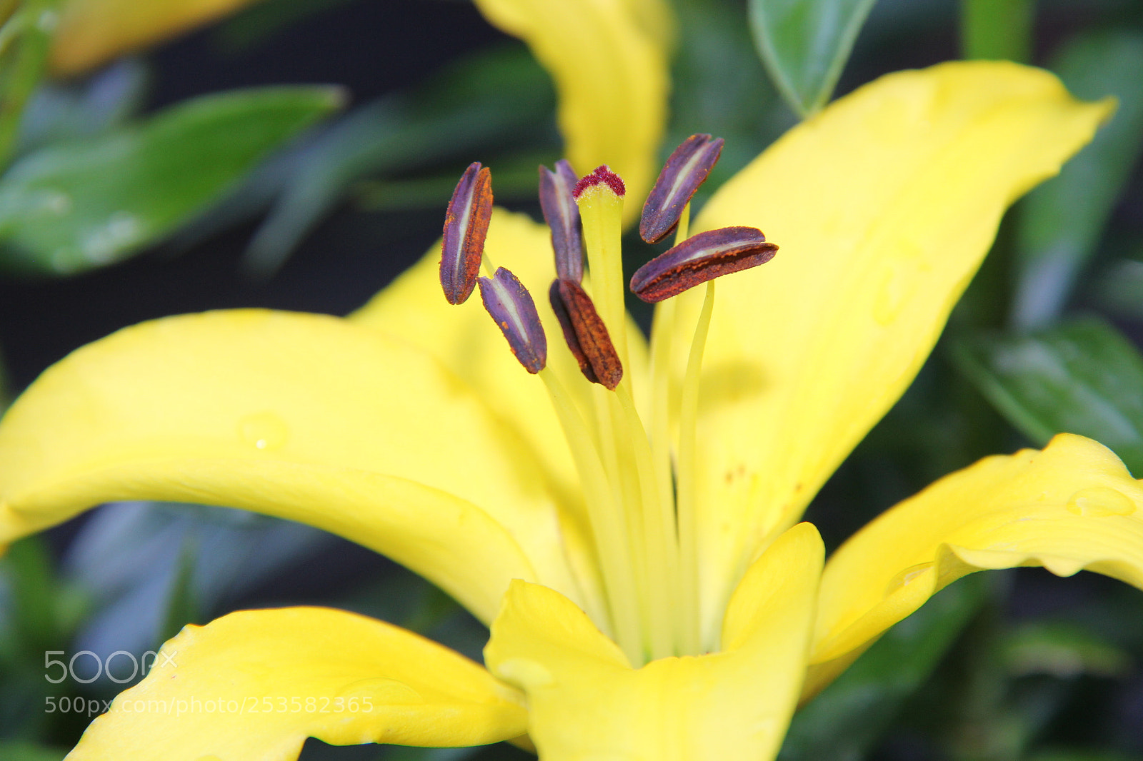 Canon EF-S 18-200mm F3.5-5.6 IS sample photo. Img photography