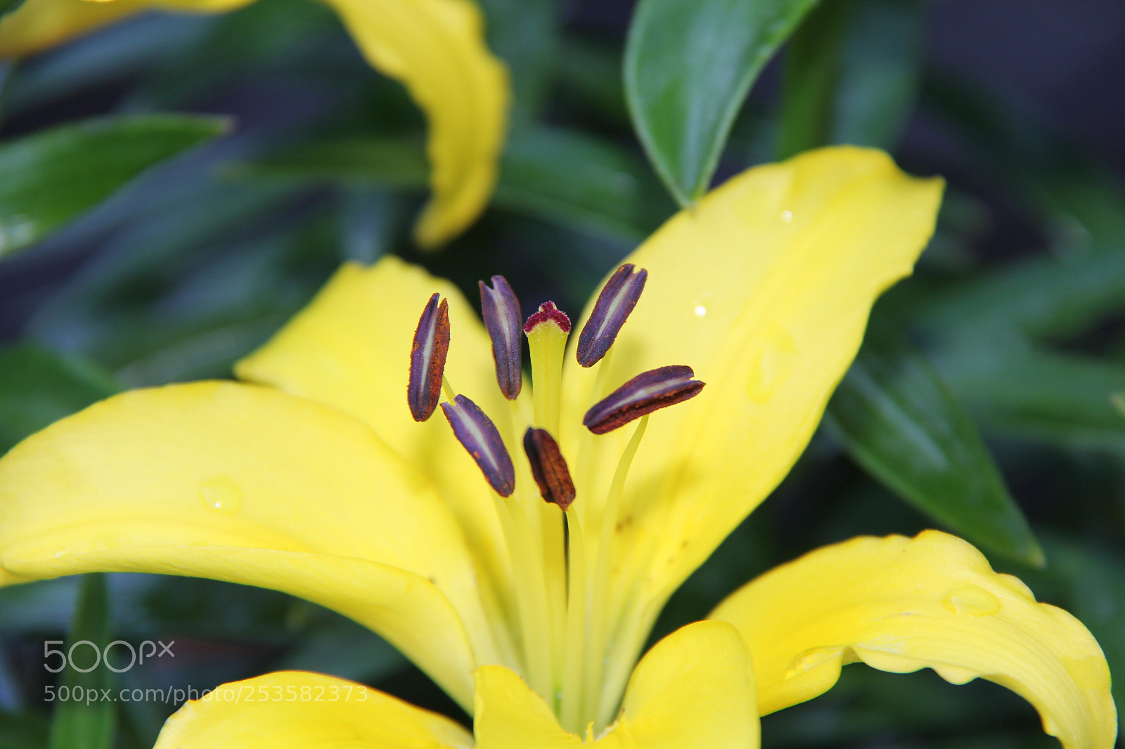 Canon EF-S 18-200mm F3.5-5.6 IS sample photo. Img photography