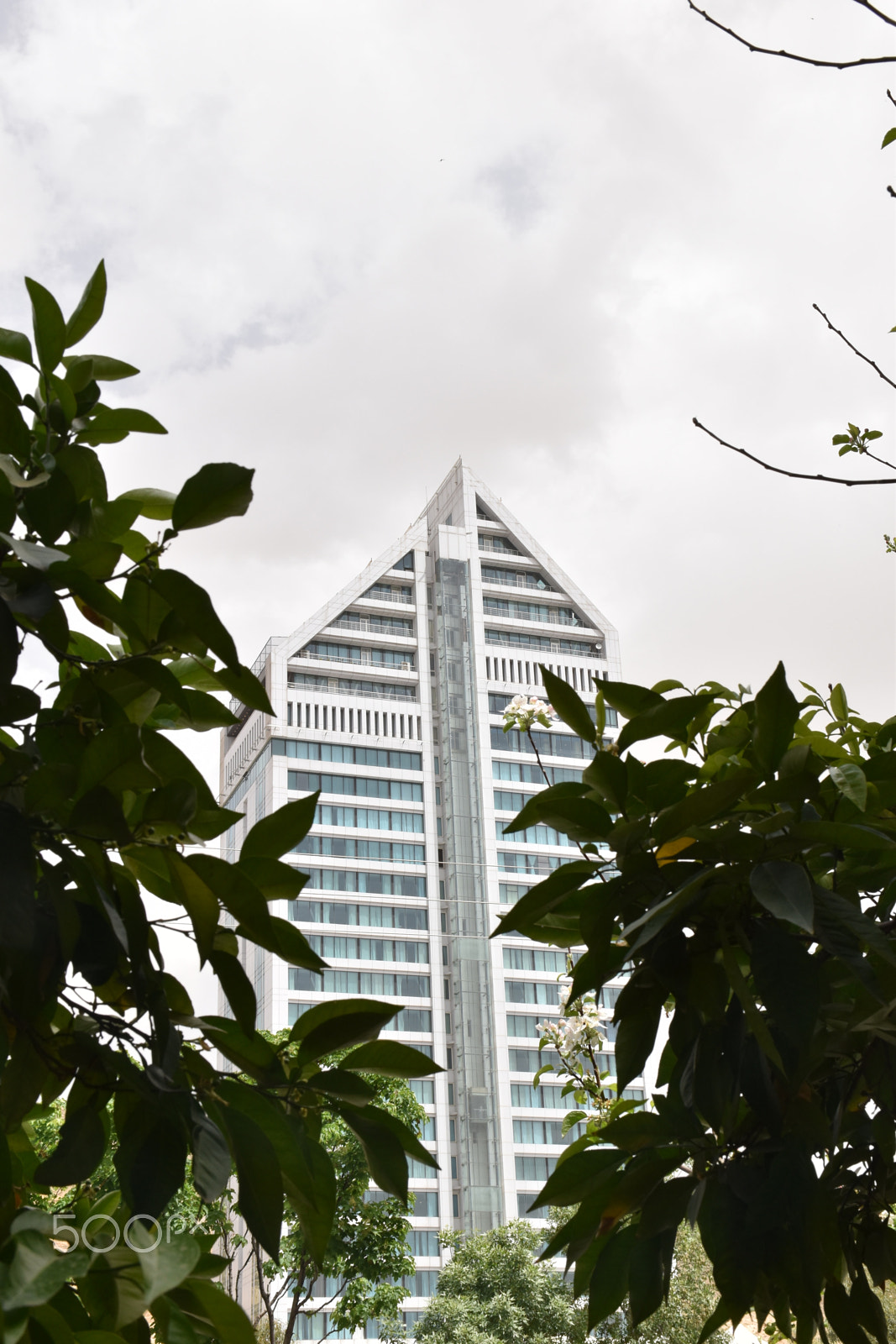 Nikon D5600 sample photo. Chamran hotel photography