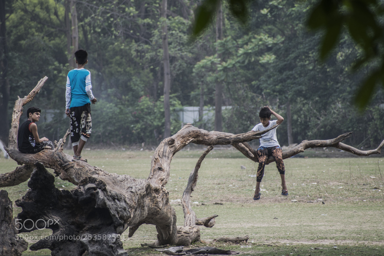 Nikon D5300 sample photo. A moment of togetherness photography