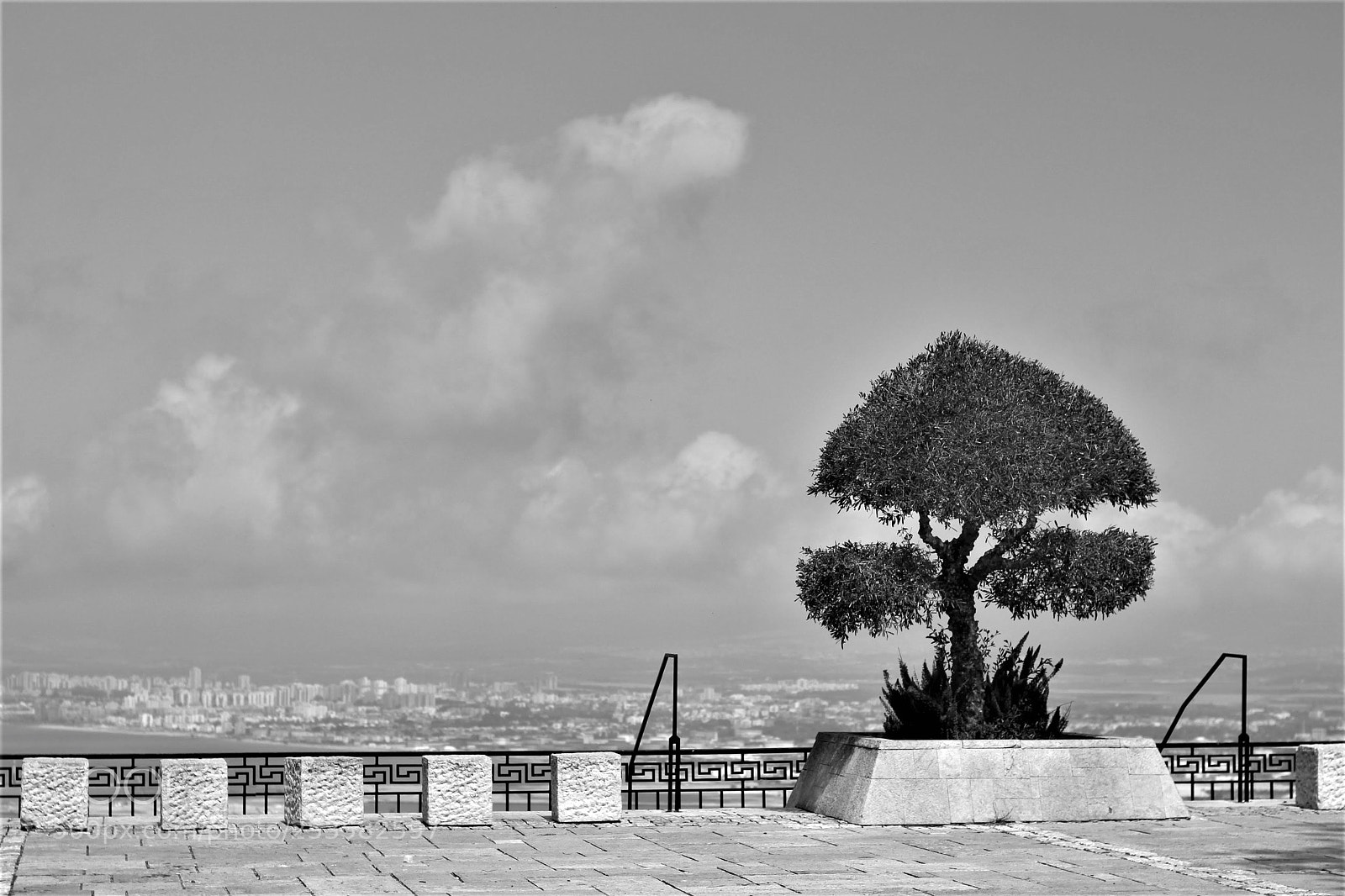 Canon EOS 700D (EOS Rebel T5i / EOS Kiss X7i) sample photo. Promenad photography