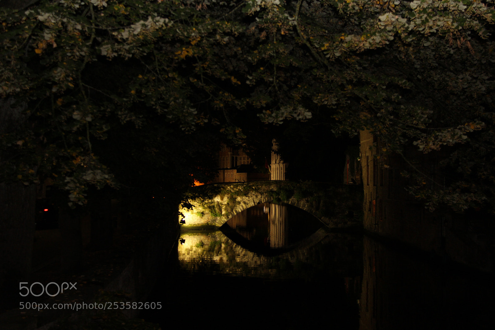 Canon EF-S 18-200mm F3.5-5.6 IS sample photo. Img photography