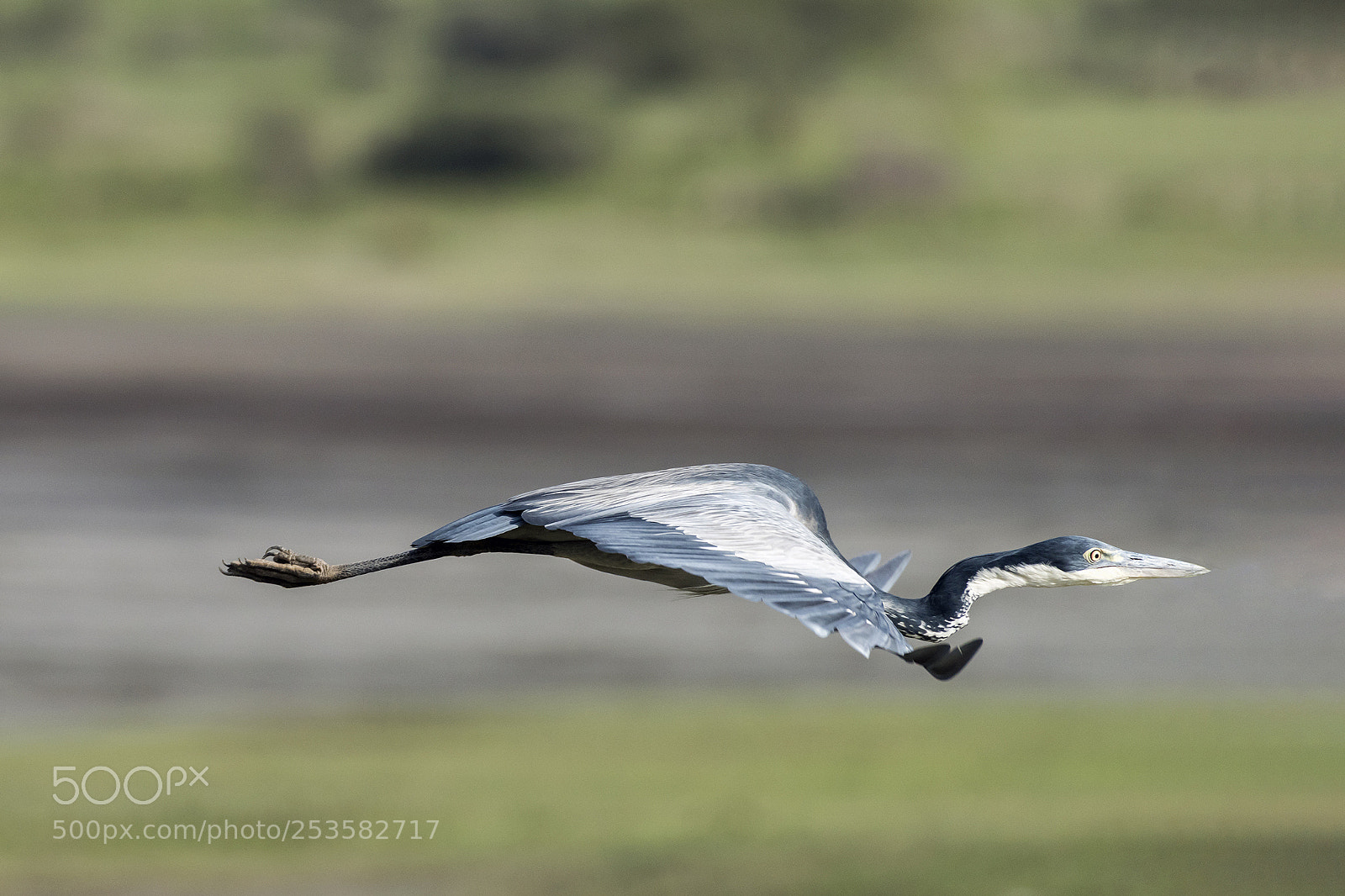 Nikon D810 sample photo. Perfect form photography