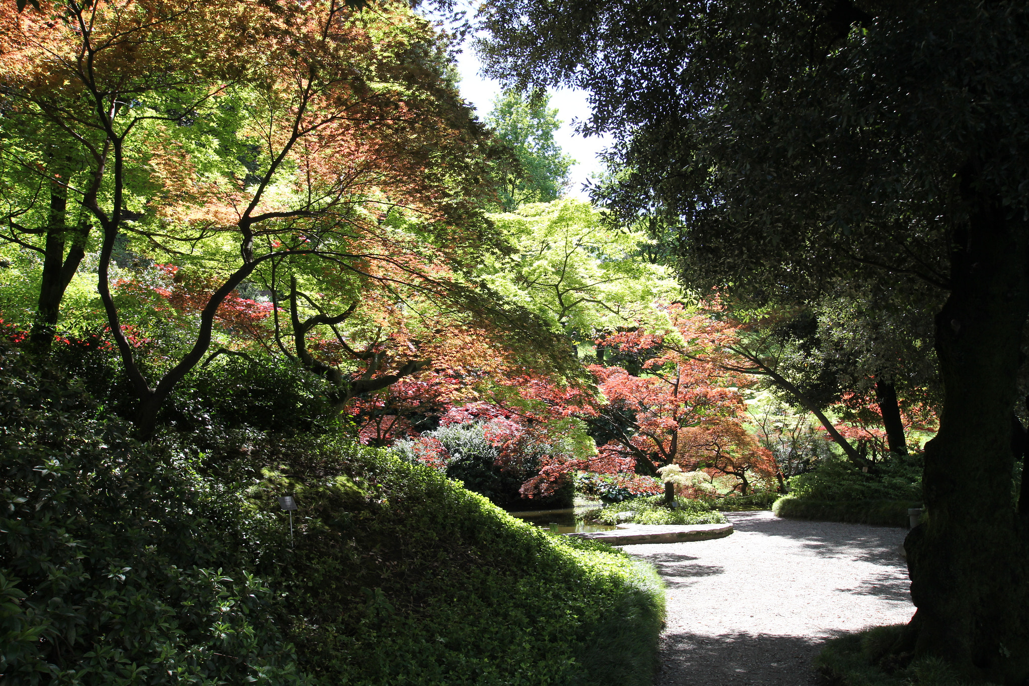 Sigma 10-20mm F3.5 EX DC HSM sample photo. Img photography