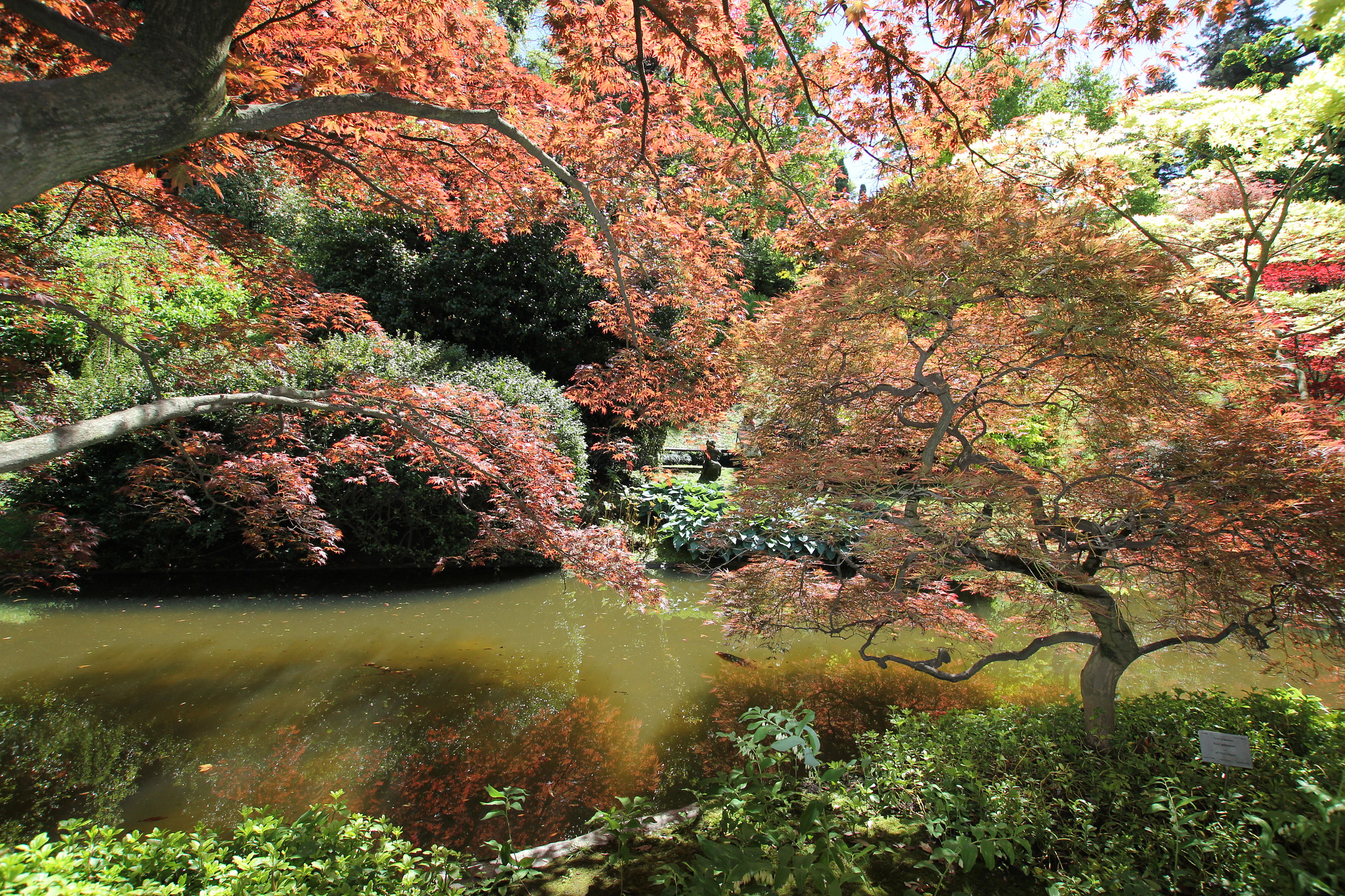 Sigma 10-20mm F3.5 EX DC HSM sample photo. Img photography