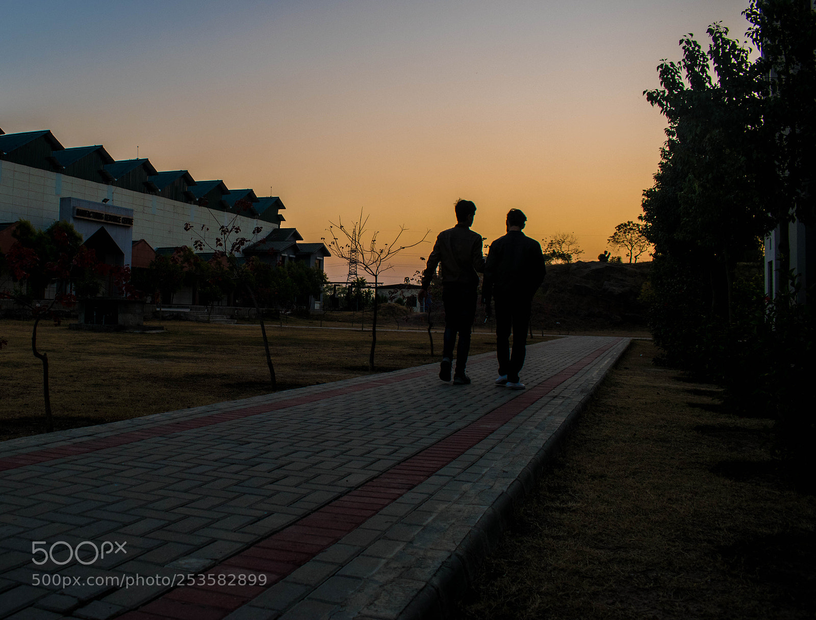 Nikon D3300 sample photo. Friends photography