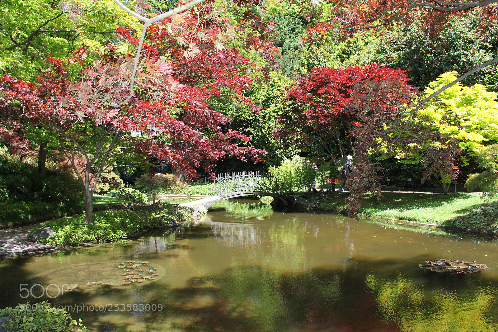Canon EF-S 18-200mm F3.5-5.6 IS sample photo. Img photography