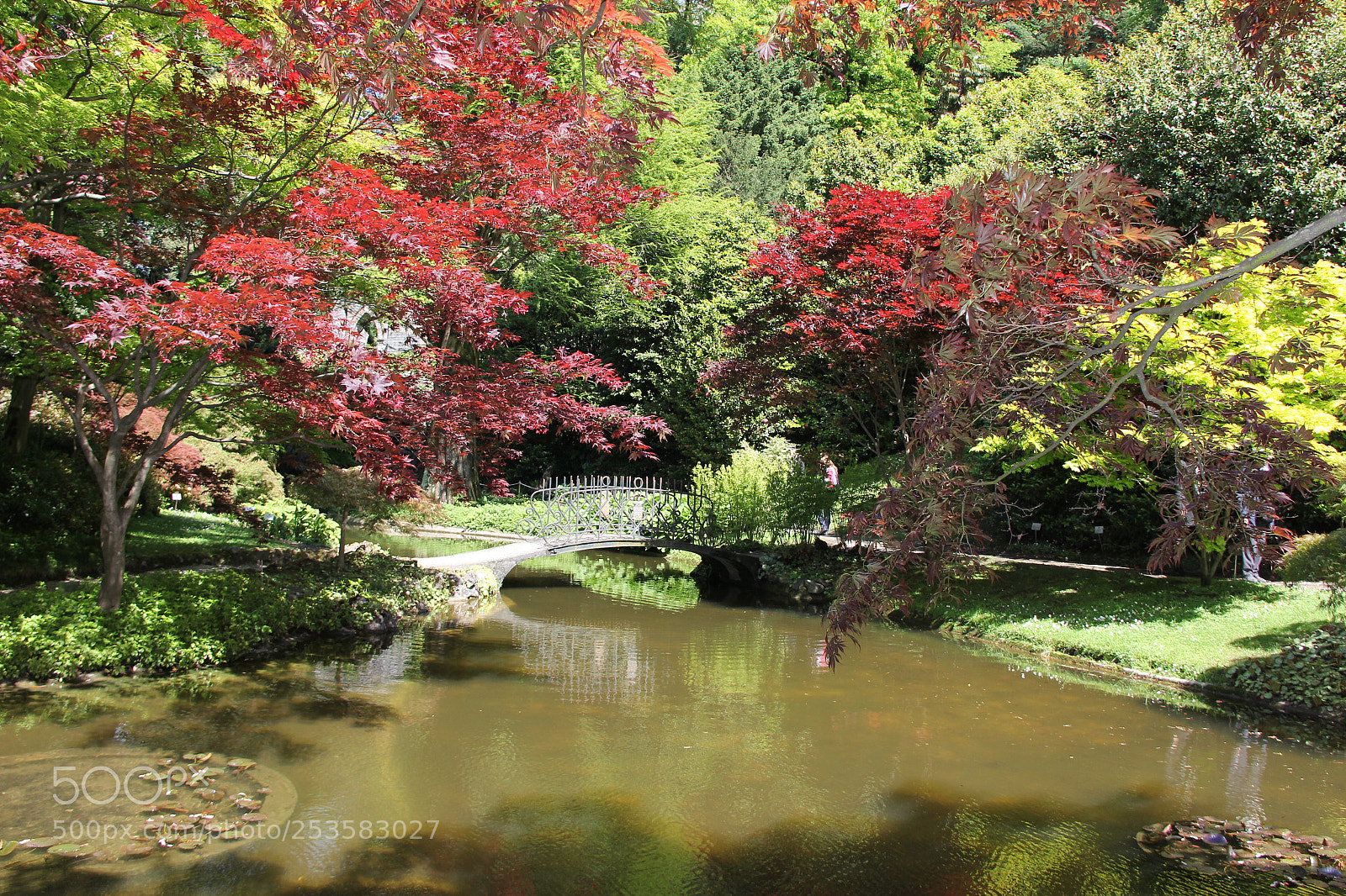 Canon EF-S 18-200mm F3.5-5.6 IS sample photo. Img photography