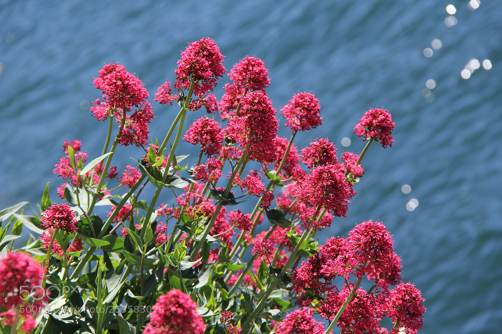 Canon EF-S 18-200mm F3.5-5.6 IS sample photo. Img photography