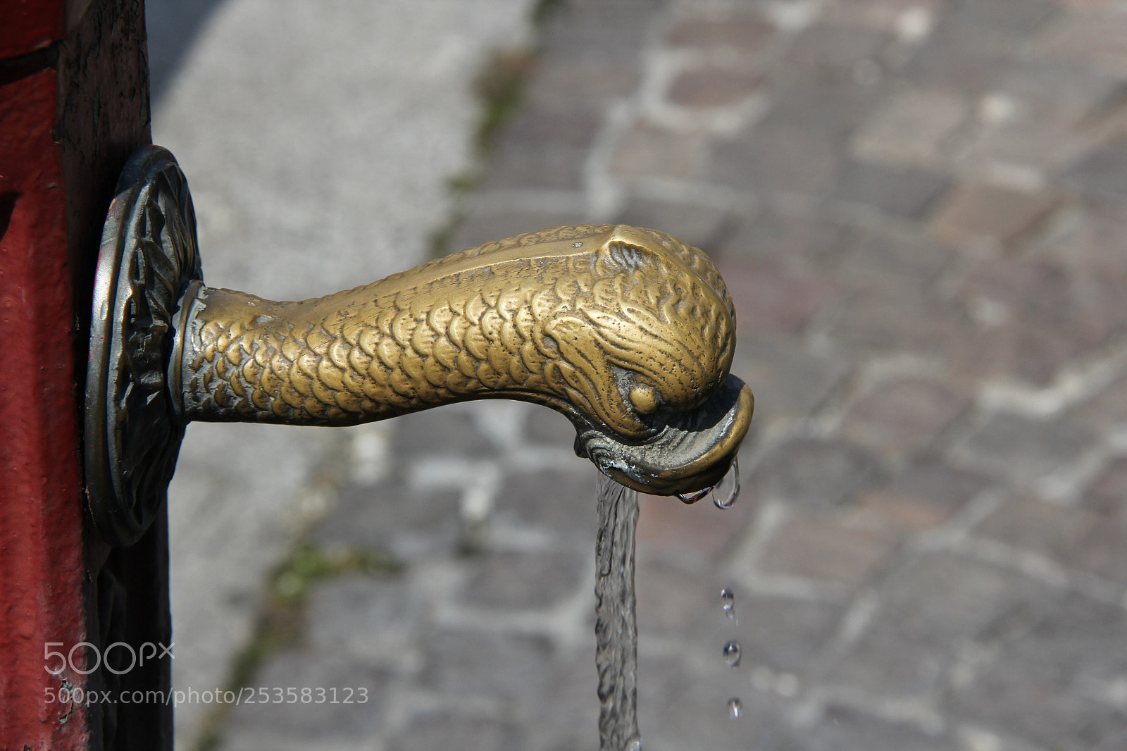 Canon EF-S 18-200mm F3.5-5.6 IS sample photo. Img photography