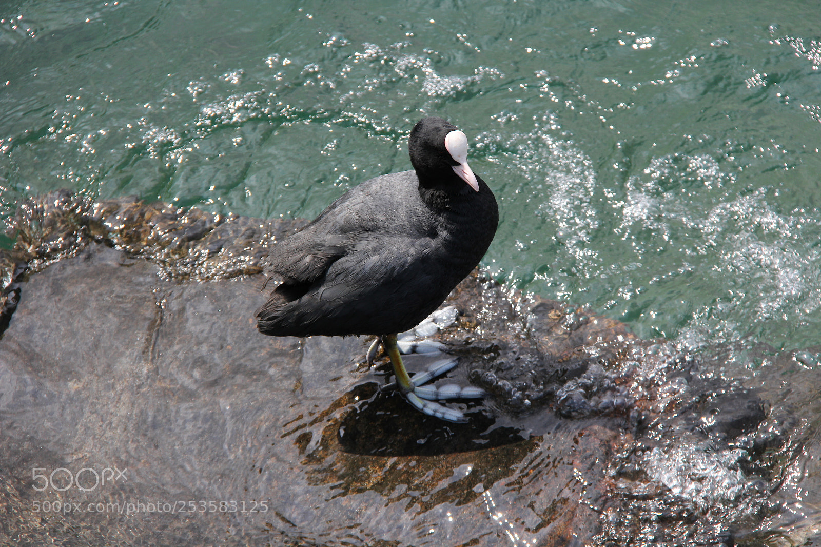 Canon EF-S 18-200mm F3.5-5.6 IS sample photo. Img photography