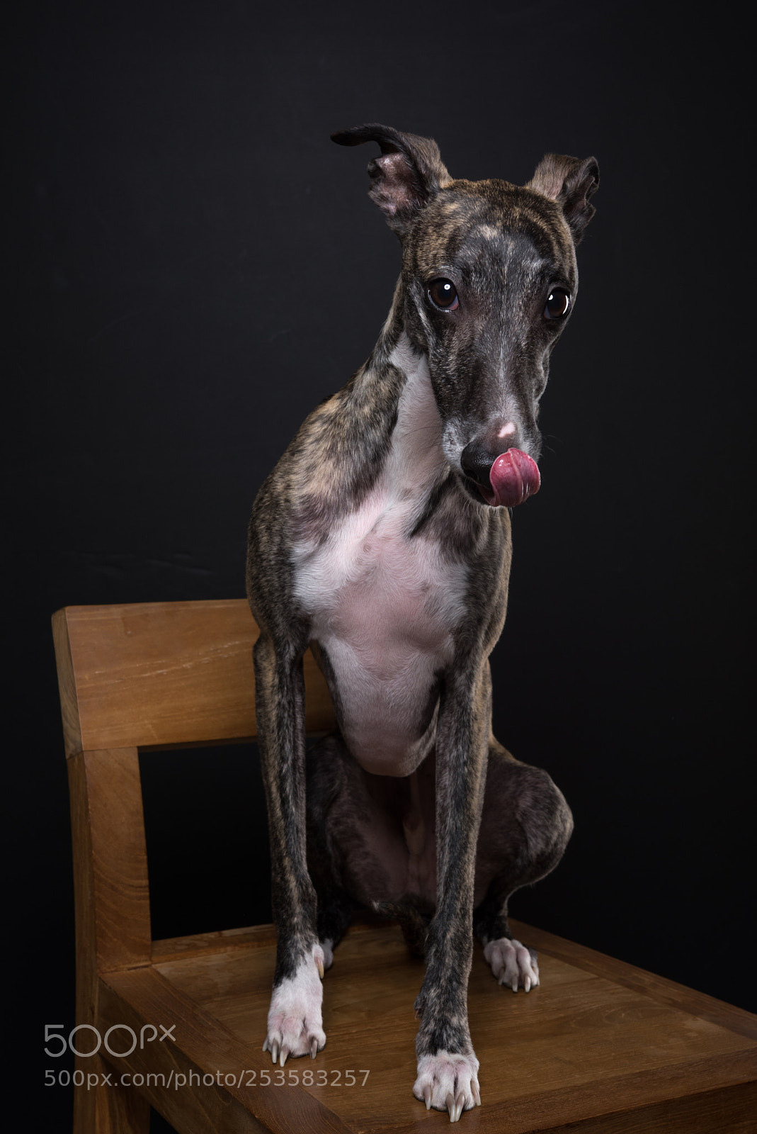 Pentax K-3 sample photo. Jäger photography