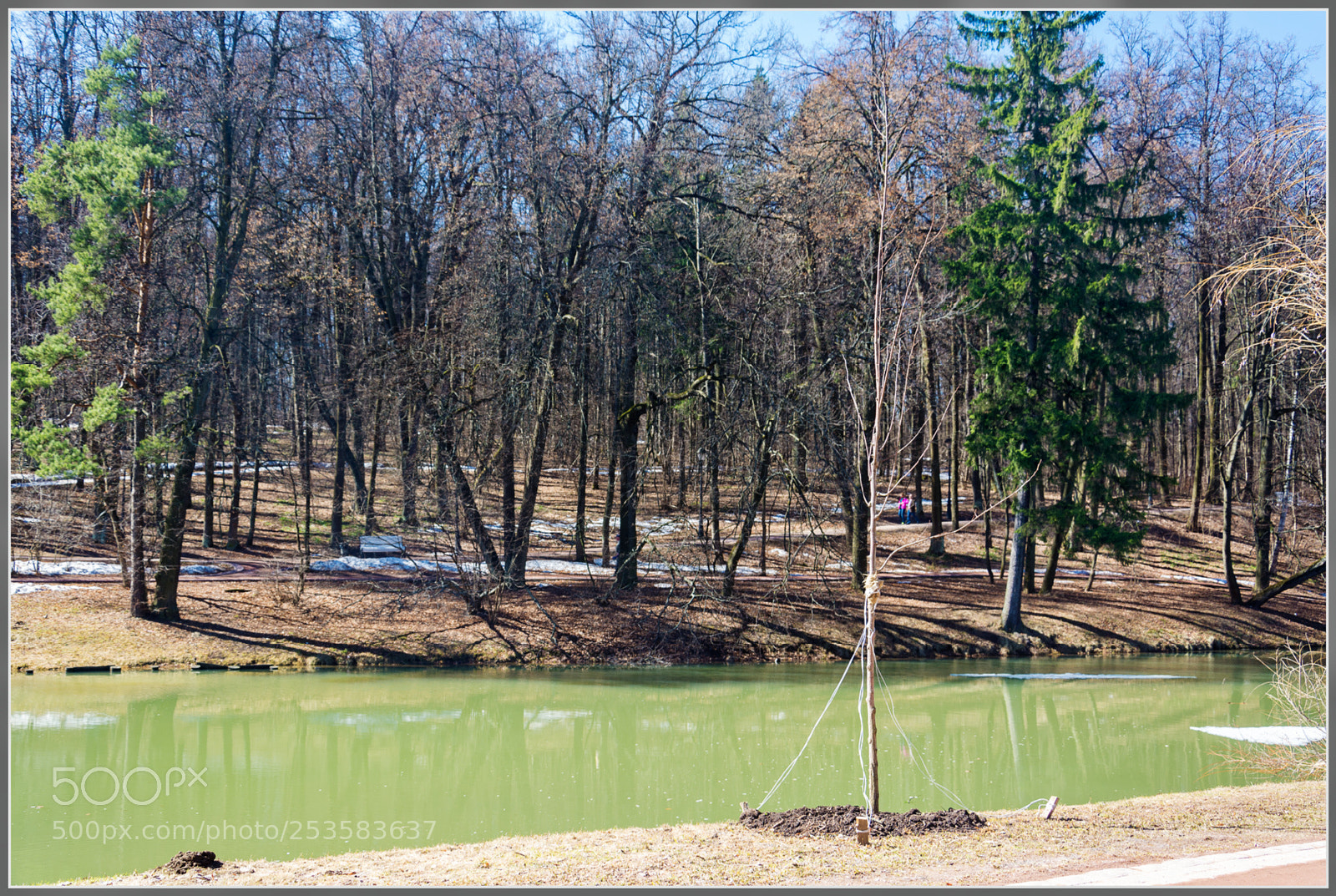 Nikon D7100 sample photo. Dxo photography