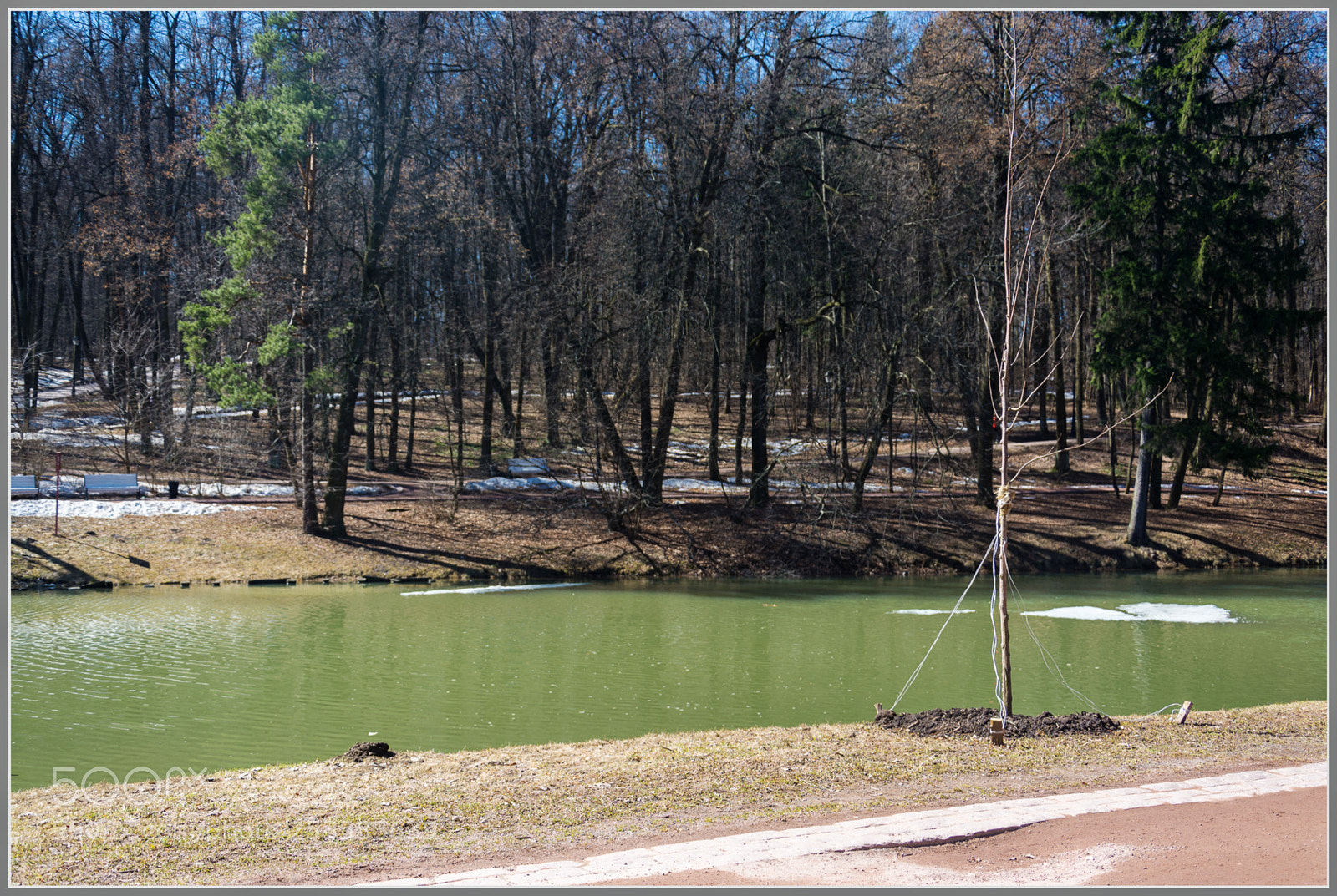Nikon D7100 sample photo. Dxo photography