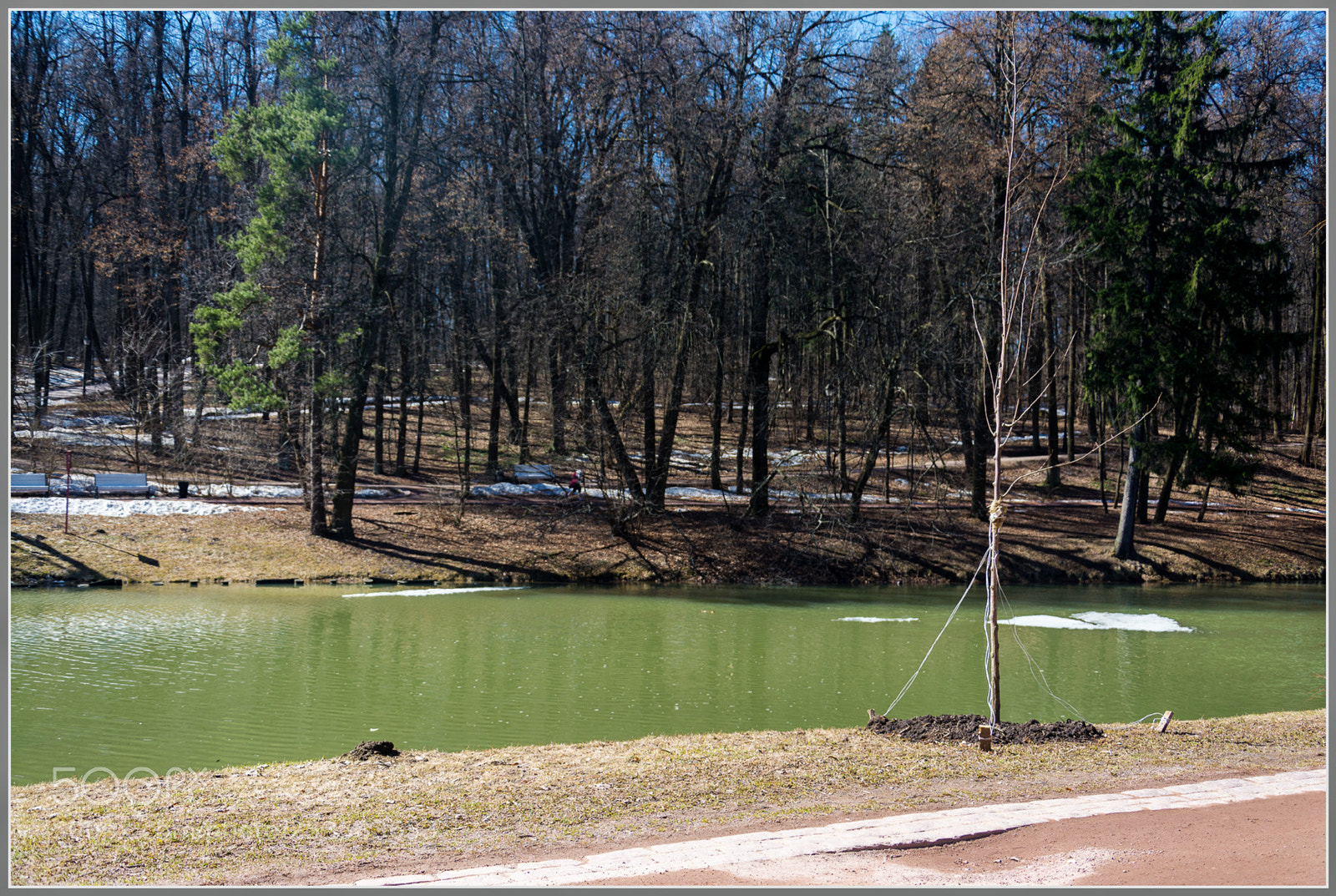 Nikon D7100 sample photo. Dxo photography