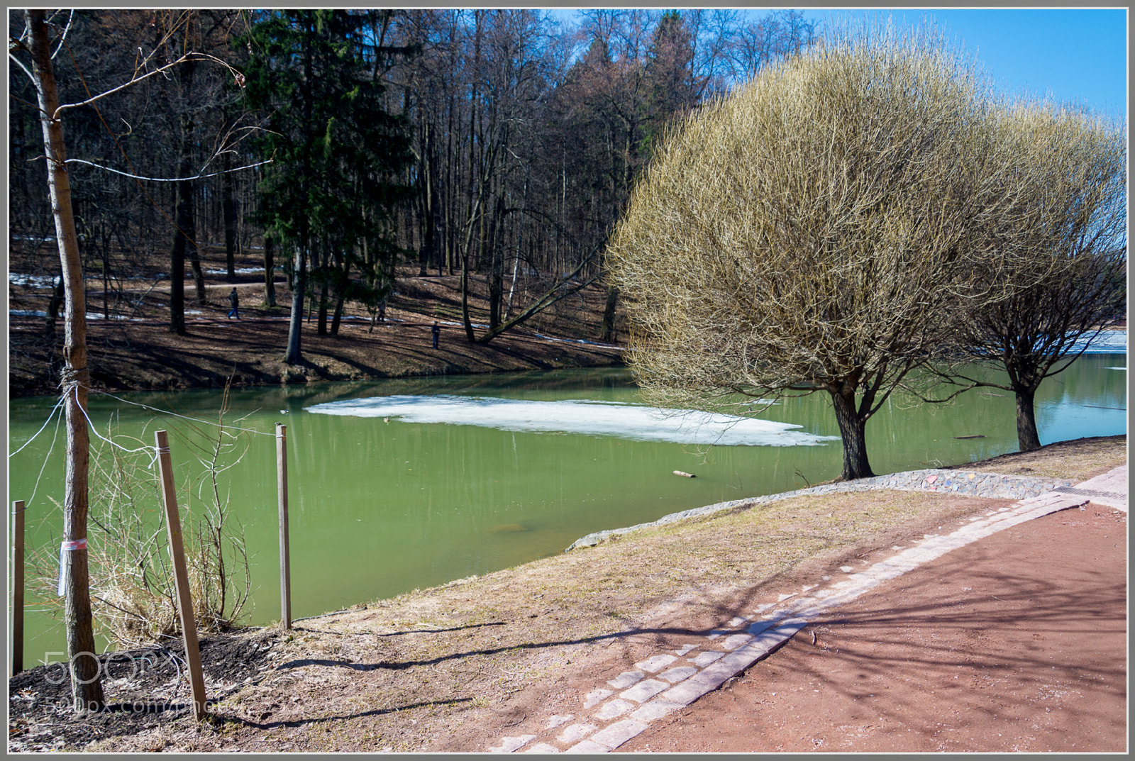 Nikon D7100 sample photo. Dxo photography