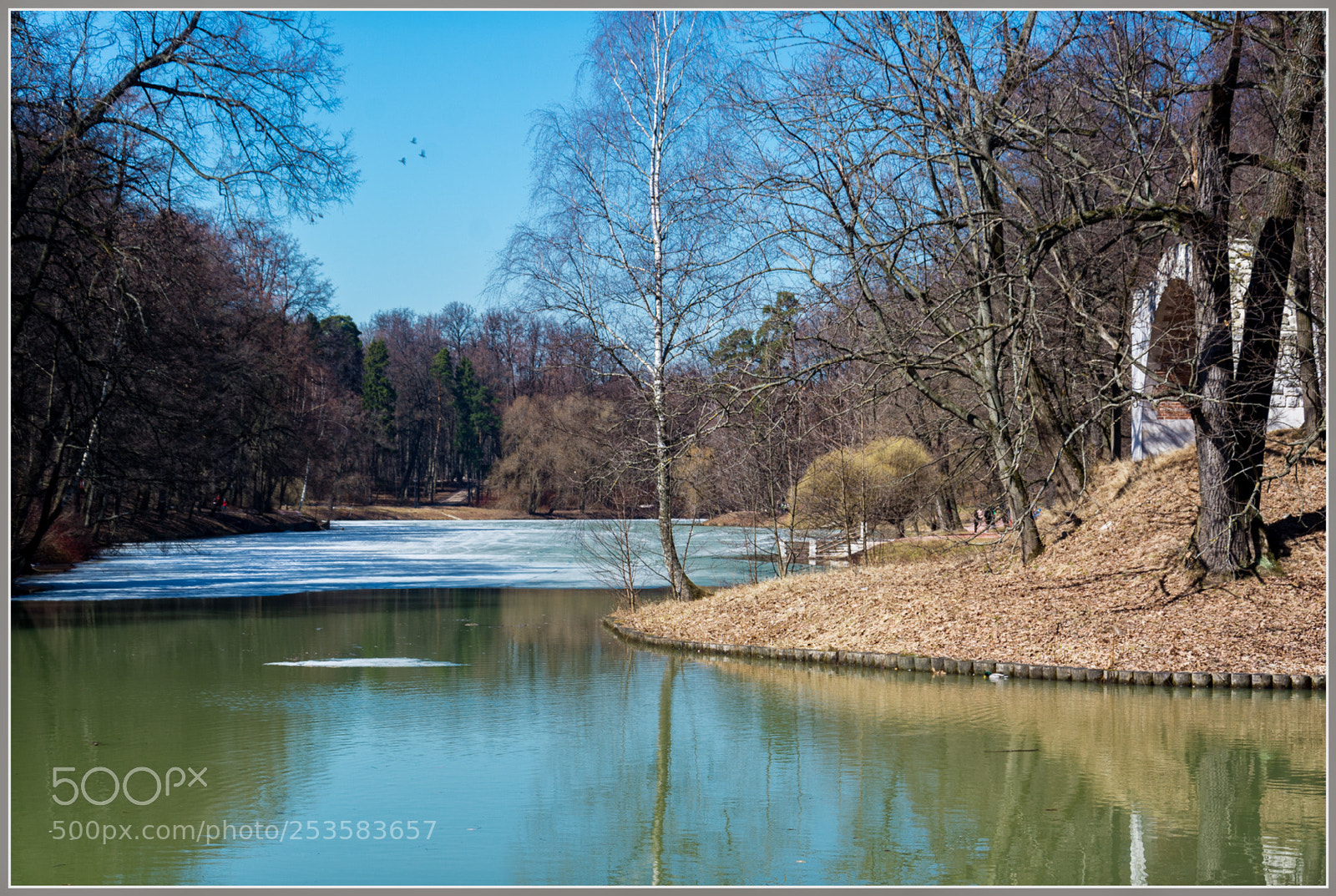 Nikon D7100 sample photo. Dxo photography