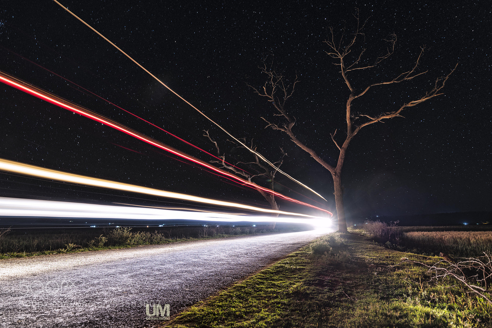 Nikon D850 sample photo. Into the wild photography