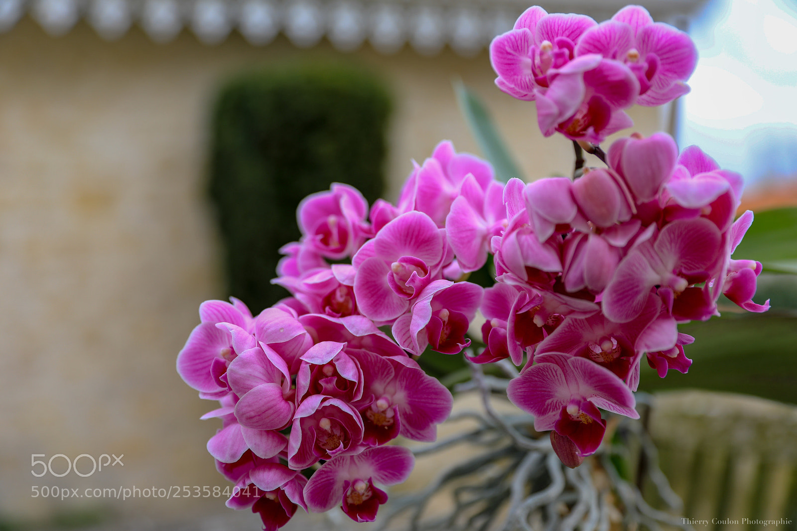 Canon EOS 5D Mark IV sample photo. Untitled photography