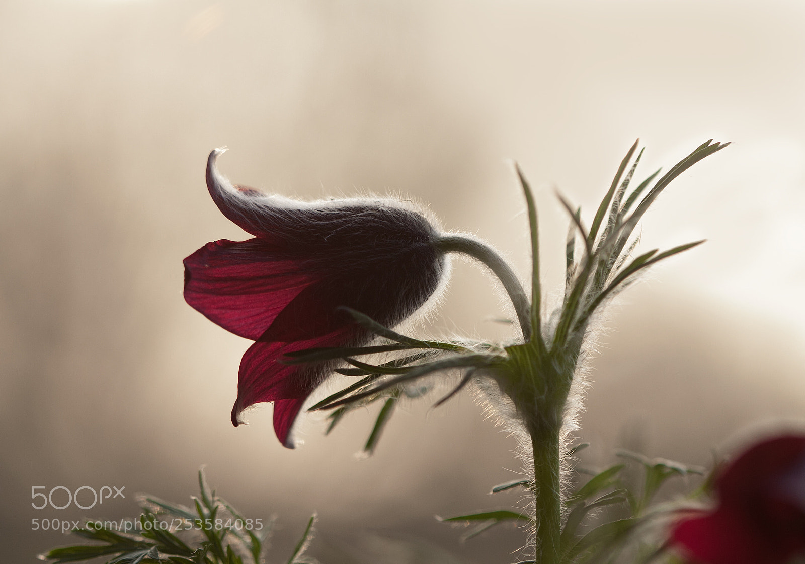 Canon EOS 50D sample photo. Early morning photography