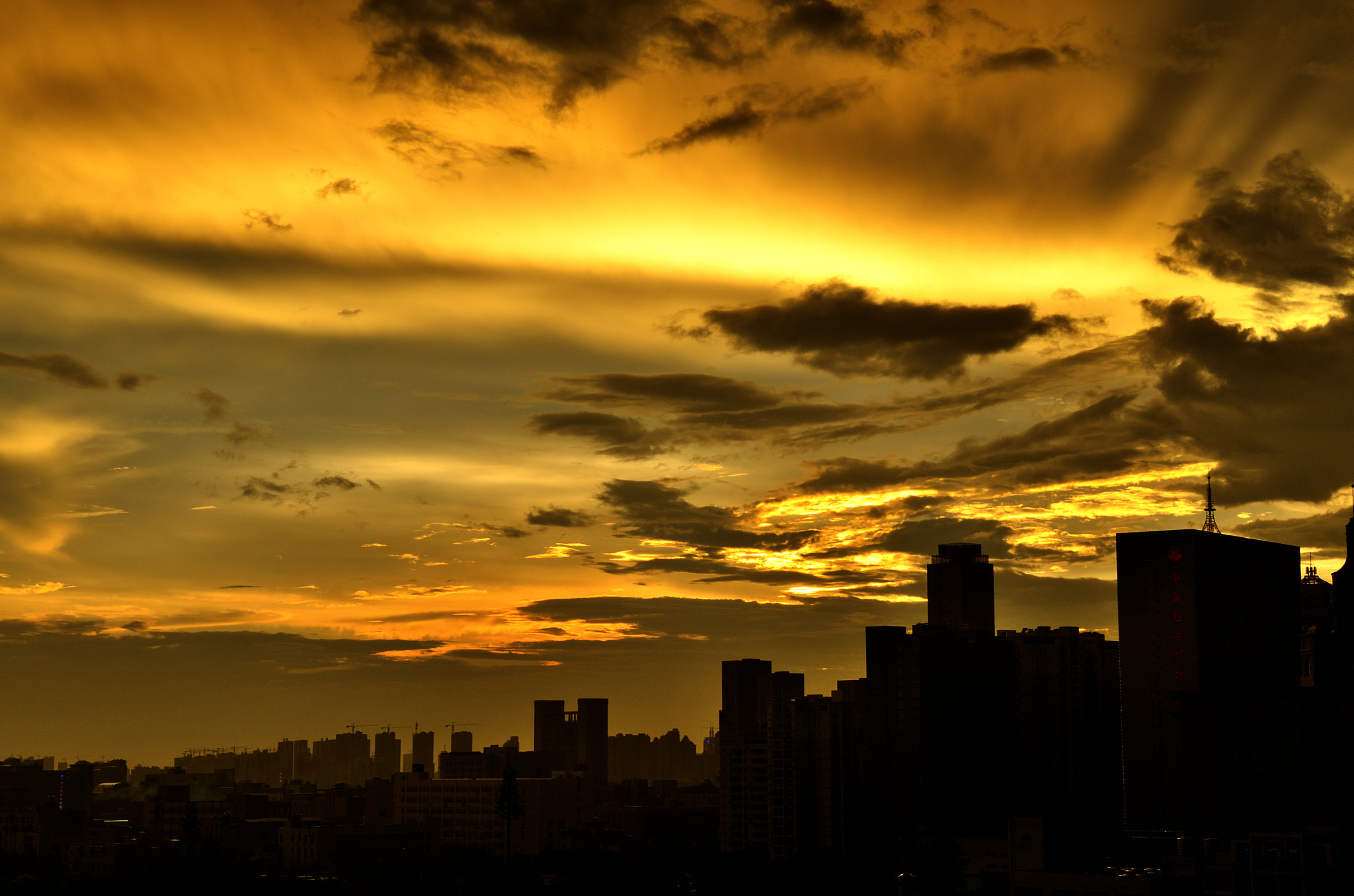 Nikon D7000 sample photo