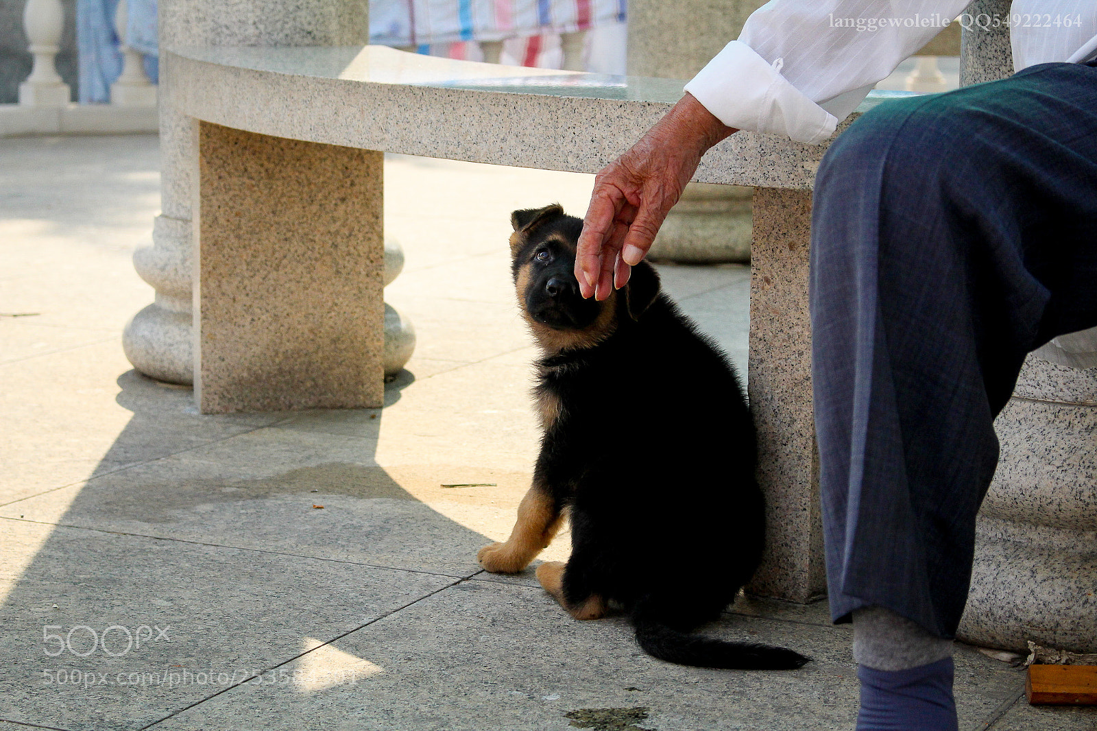 Canon EOS 700D (EOS Rebel T5i / EOS Kiss X7i) sample photo. 老人与犬 photography