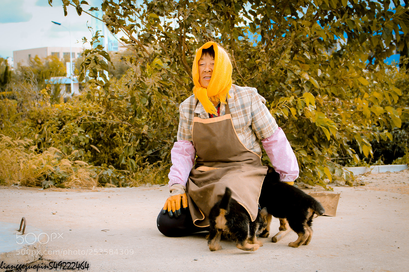 Canon EOS 700D (EOS Rebel T5i / EOS Kiss X7i) sample photo. 老人与犬 photography