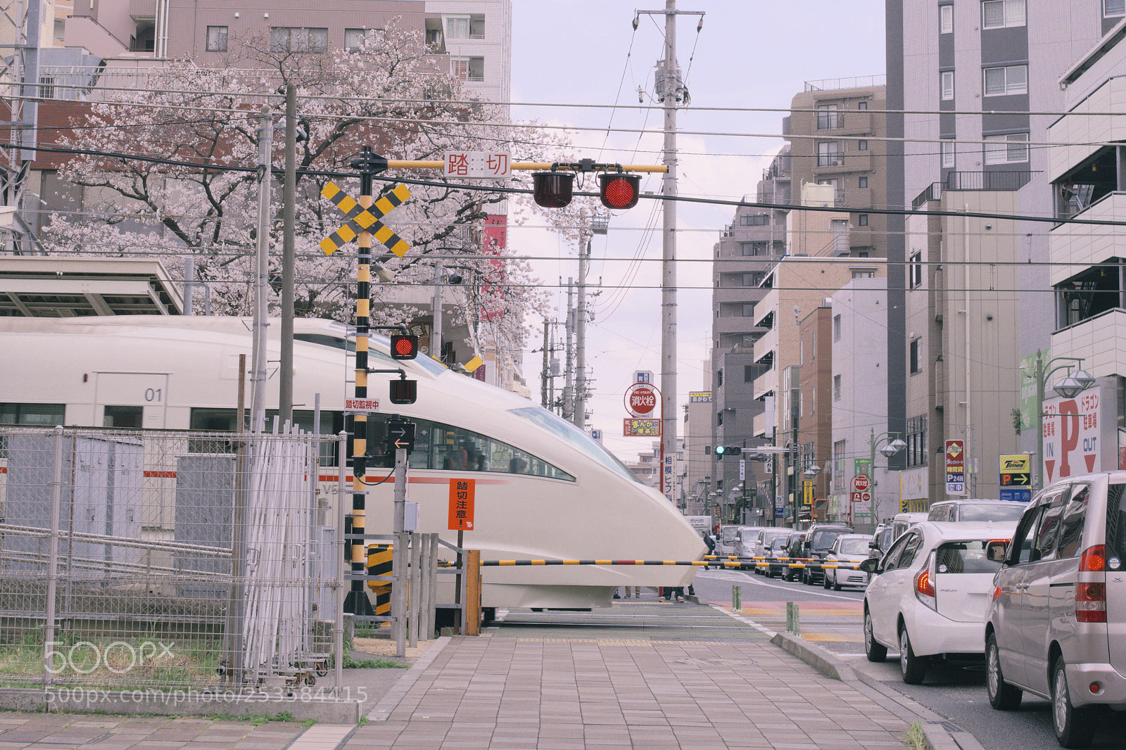 Pentax K-70 sample photo. Japanese ordinary spring photography