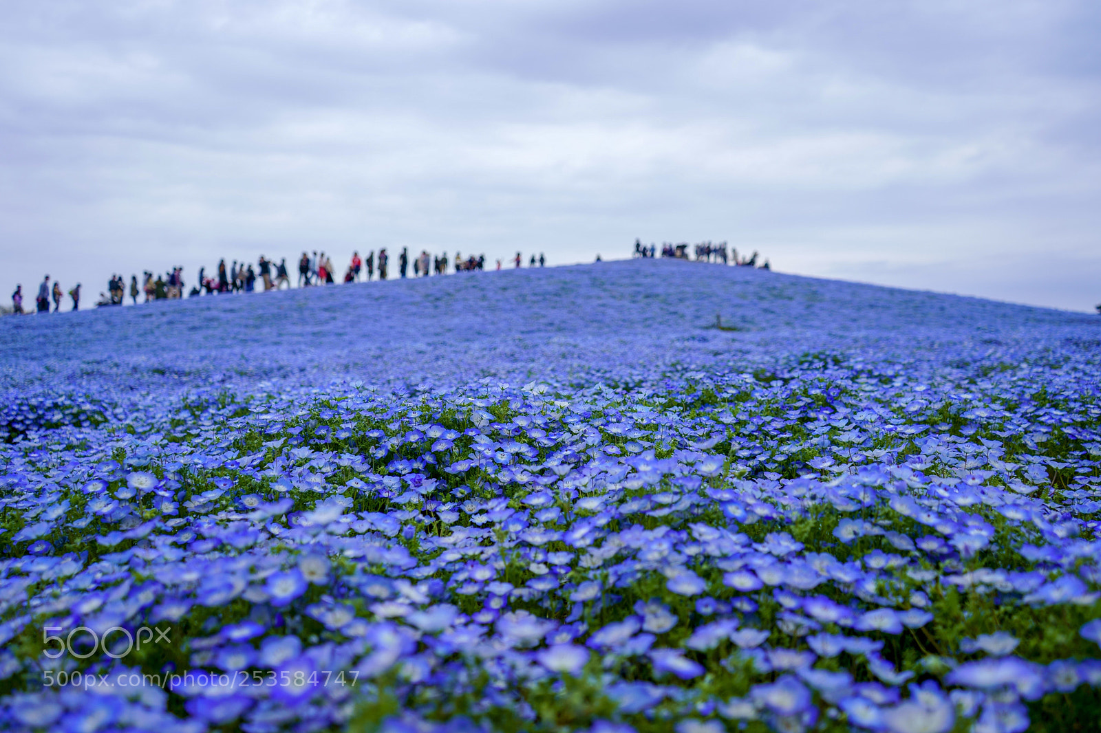 Sony a7 III sample photo. Blue hill photography