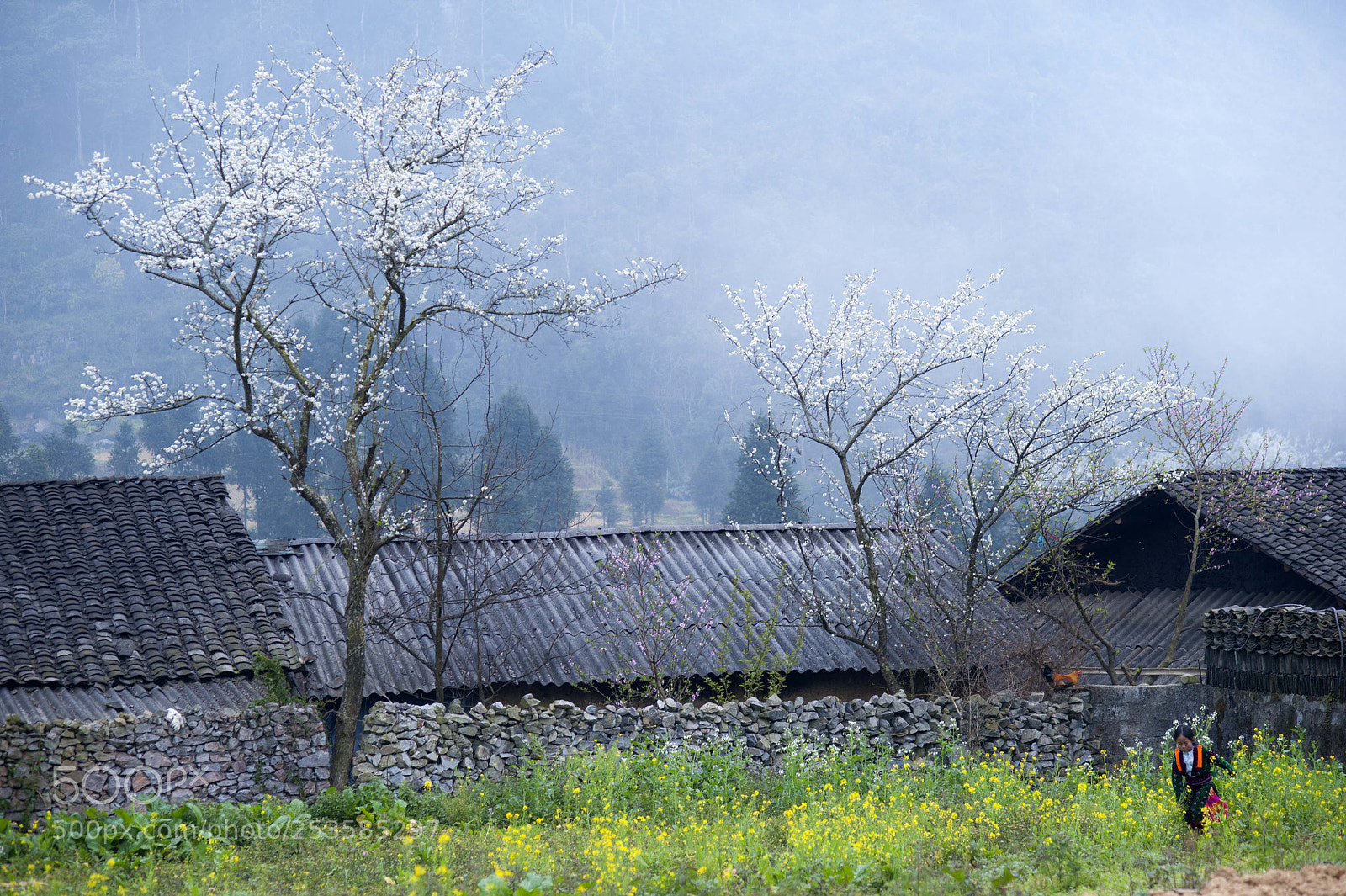Nikon D700 sample photo. 2.jpg photography