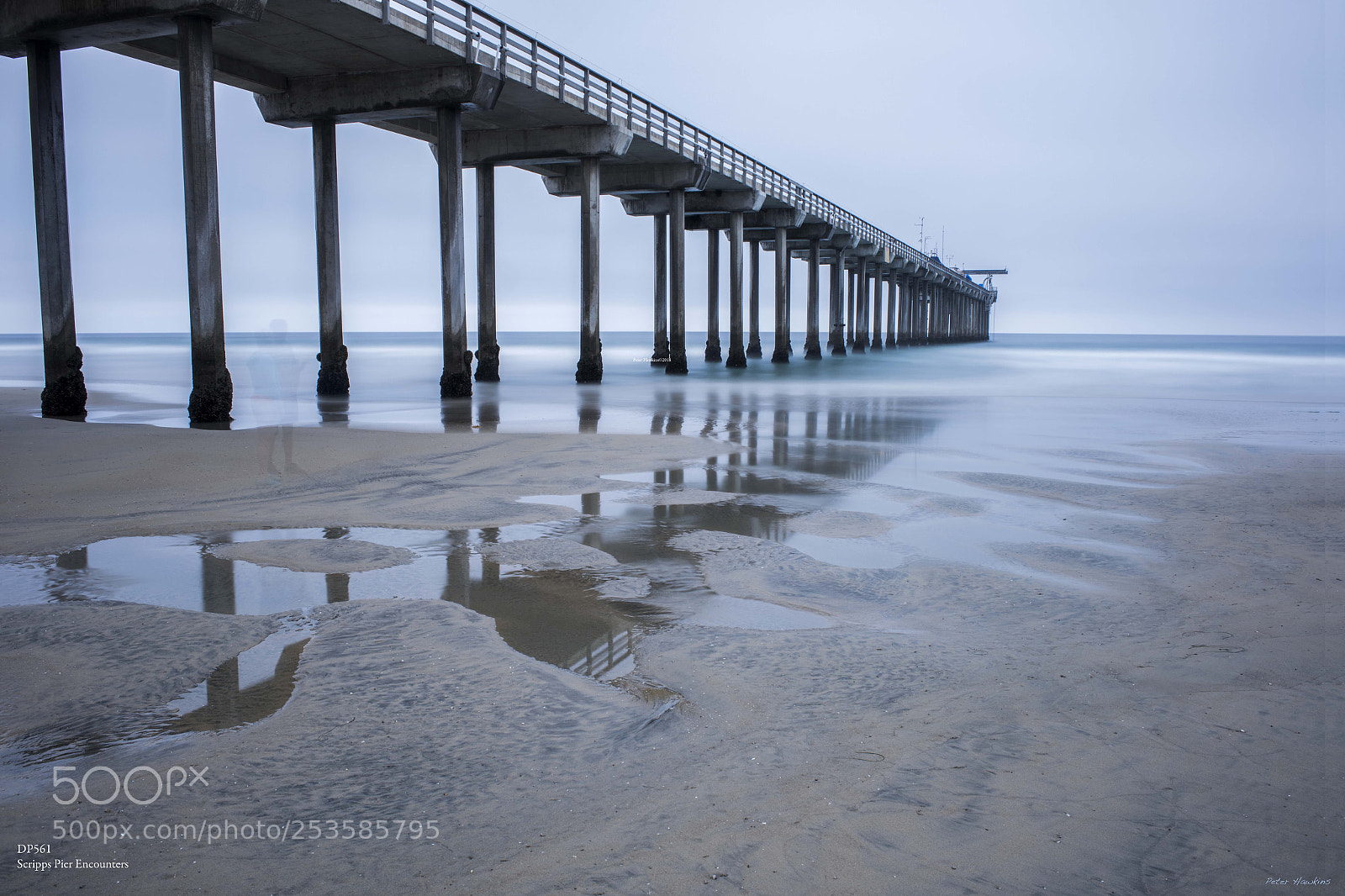 Nikon D810 sample photo. Dp561 scripps pier encounters photography