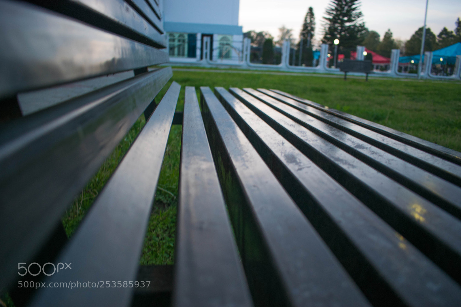Nikon D3300 sample photo. Bench photography