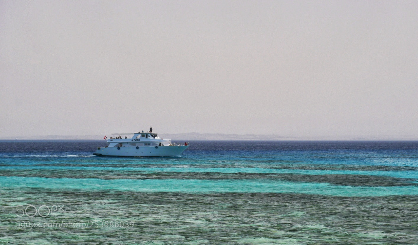 Nikon D5300 sample photo. Red sea photography