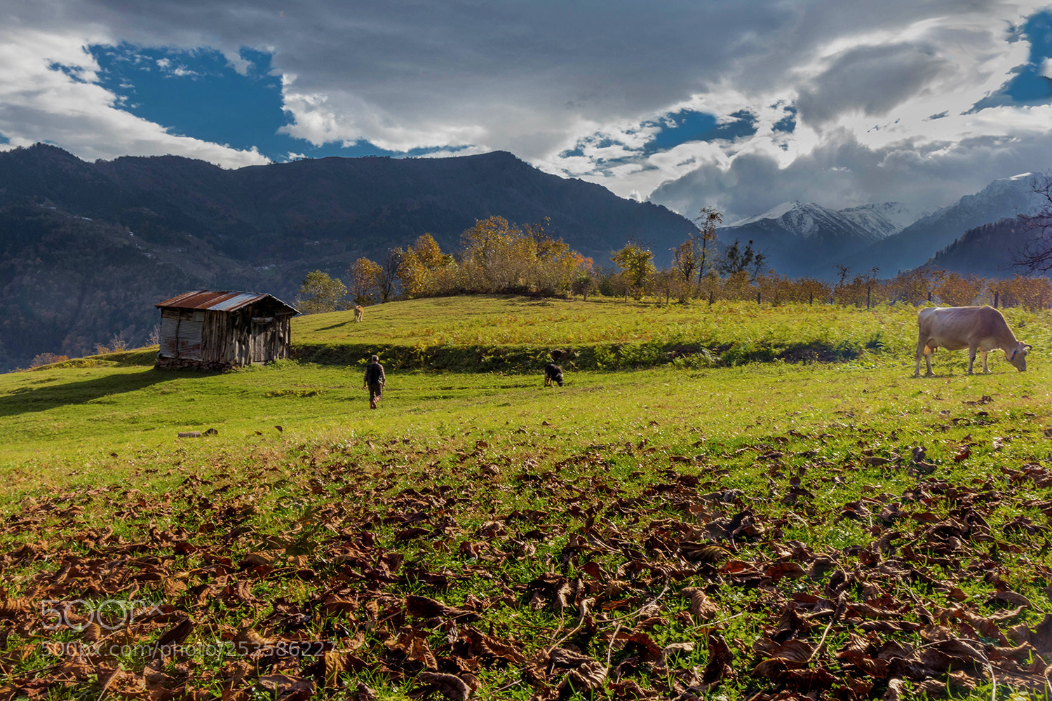 Canon EOS 80D sample photo. Farm photography
