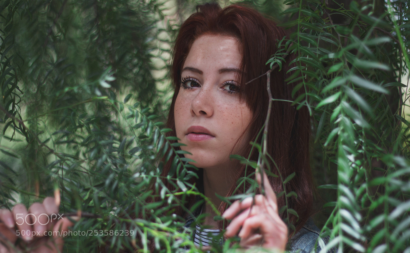 Canon EOS 70D sample photo. - red head photography