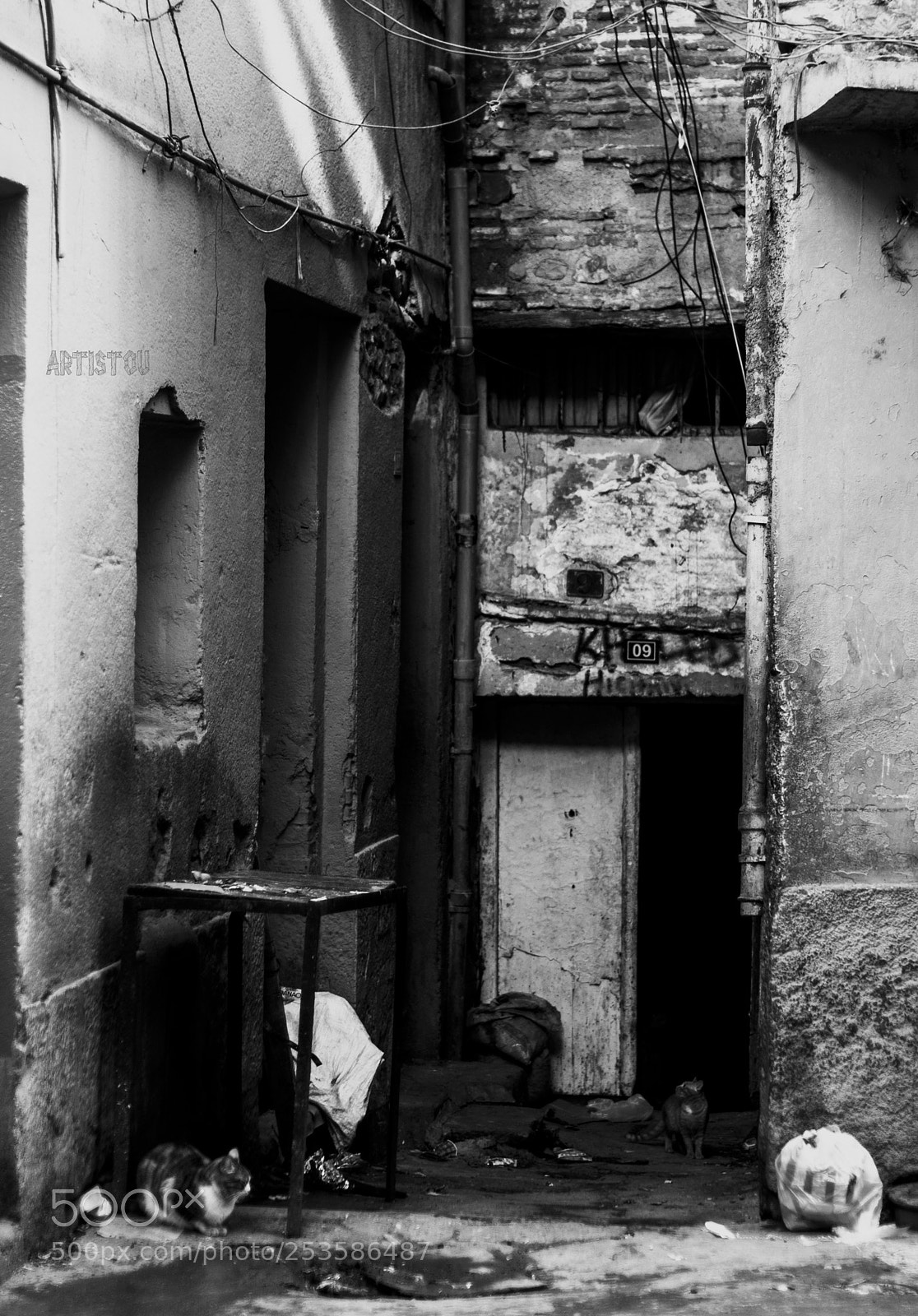 Nikon D5000 sample photo. Street photo photography
