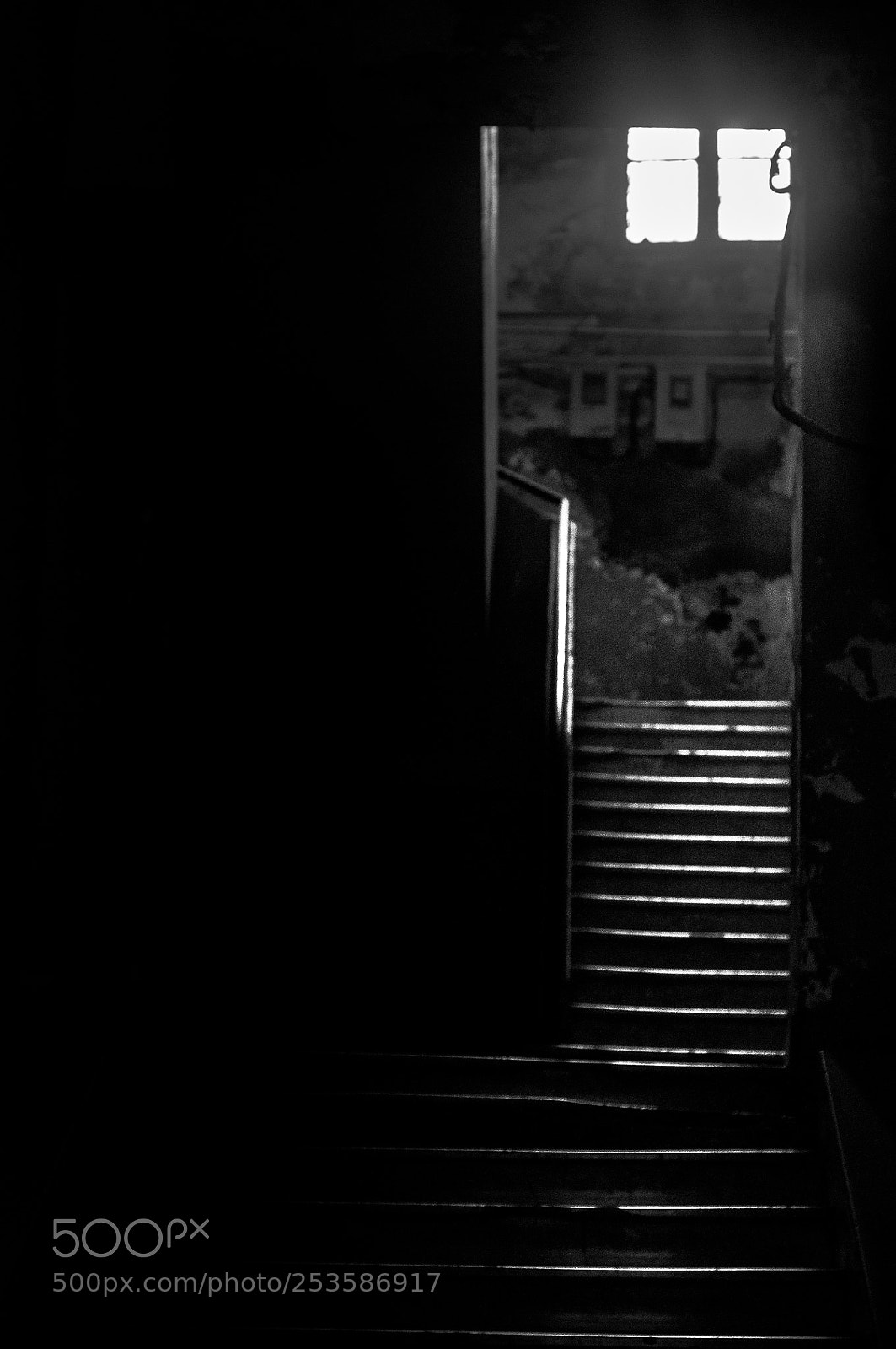 Nikon D5000 sample photo. Untitled photography