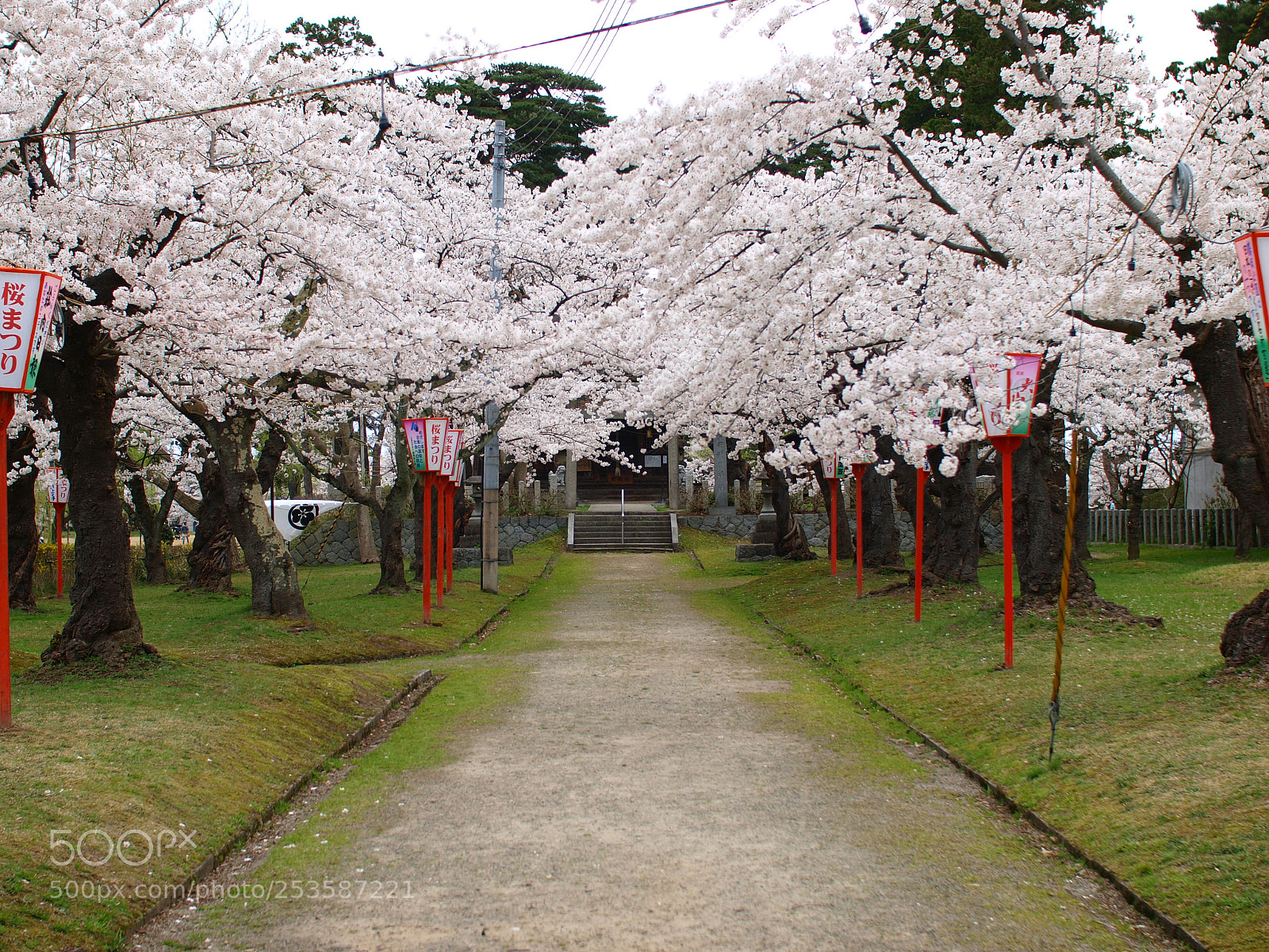 Olympus E-3 sample photo. Way of god photography