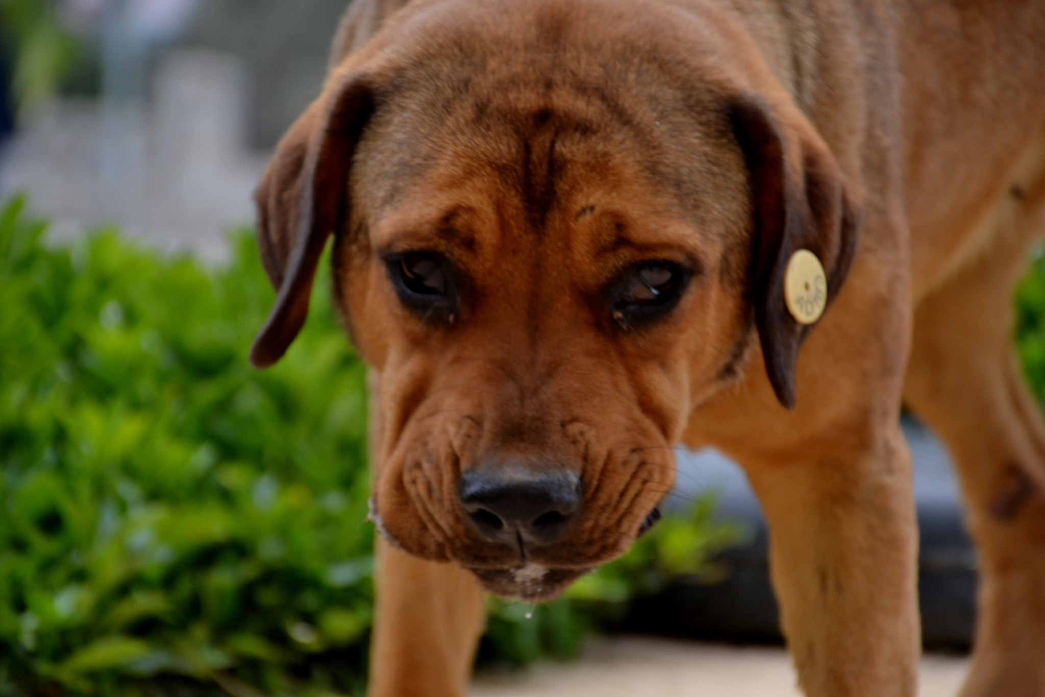 Nikon D3100 sample photo. [ad183-* photography