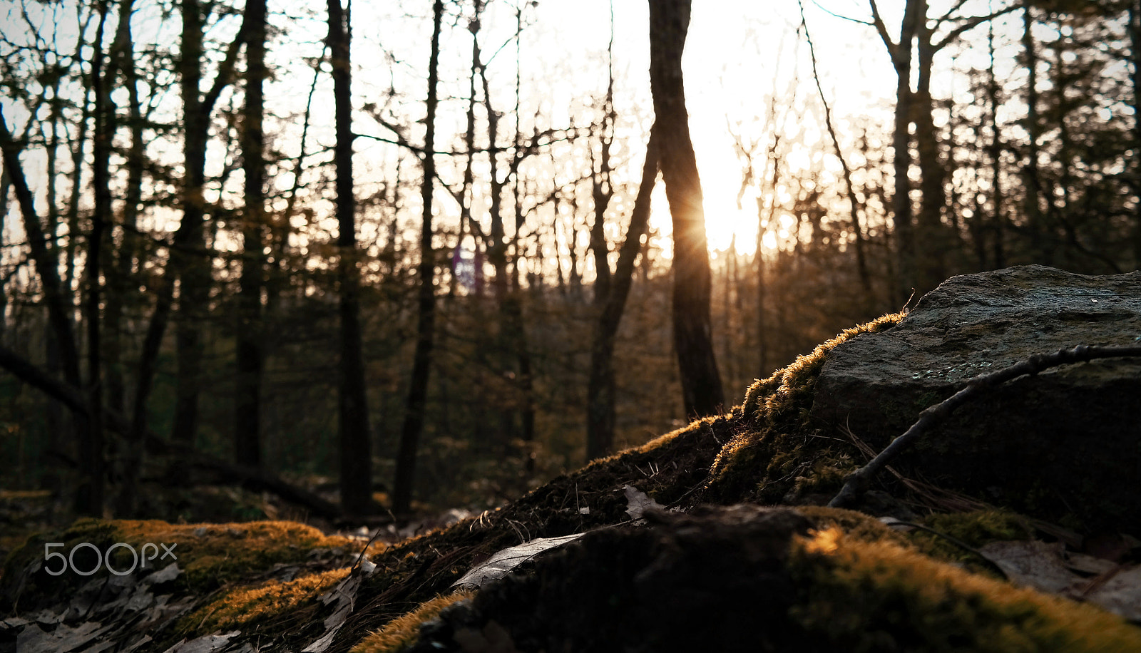 Samsung NX300M sample photo. Sunrise on the mounain photography