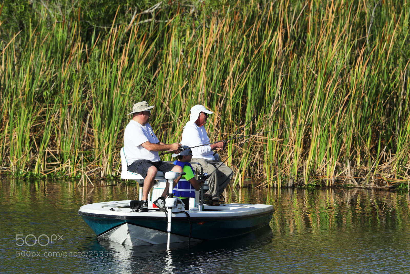 Canon EOS-1D X Mark II sample photo. 04-14-18-0012451.jpg photography
