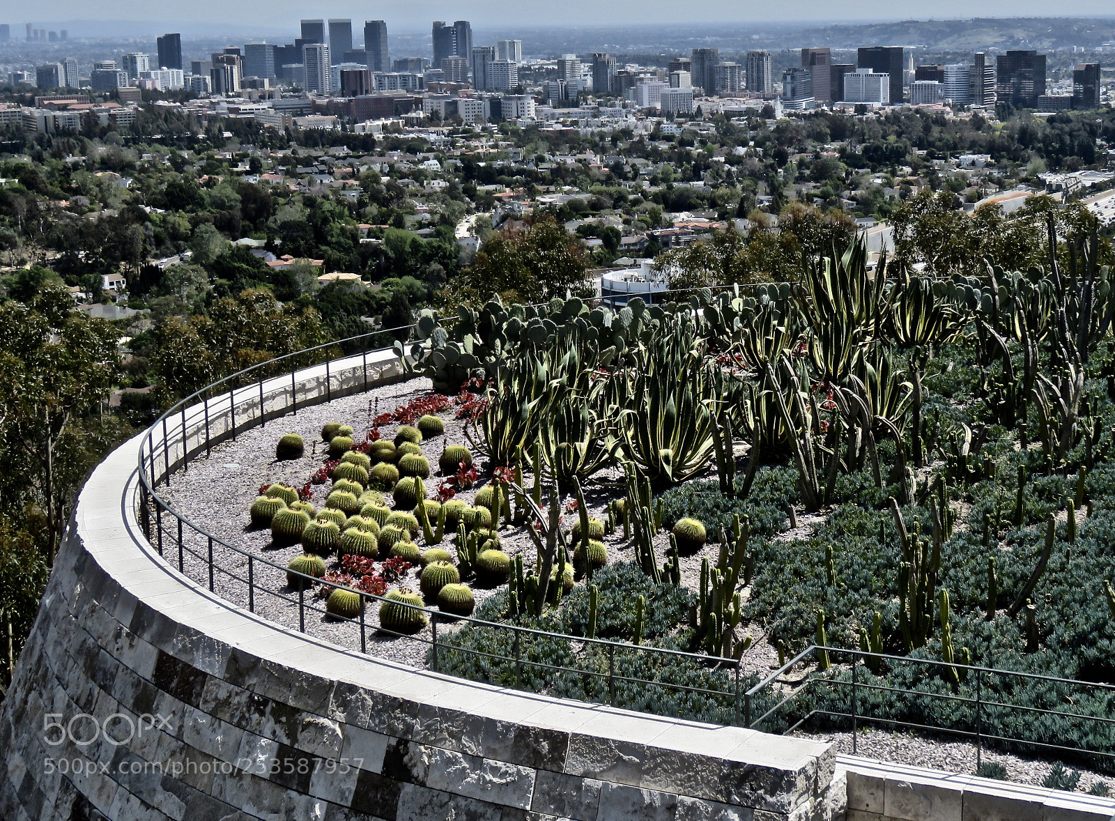 Canon PowerShot SX60 HS sample photo. Cacti above los angeles photography