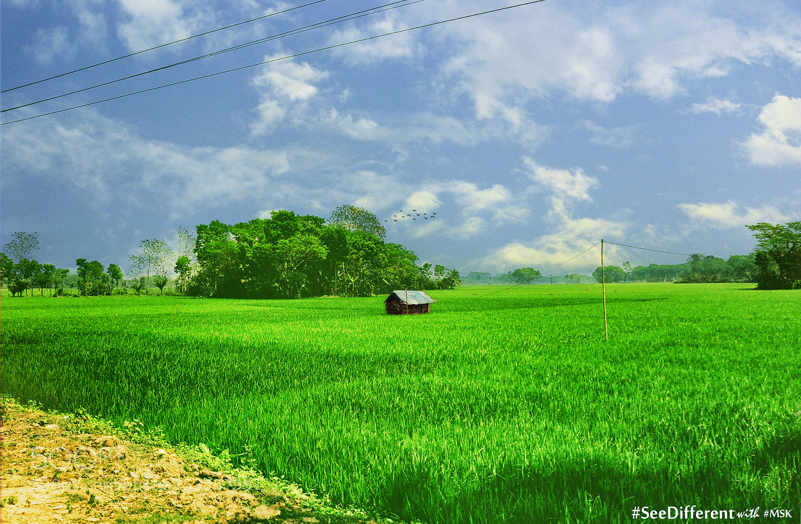Canon EOS 700D (EOS Rebel T5i / EOS Kiss X7i) sample photo. Village of bangladesh photography