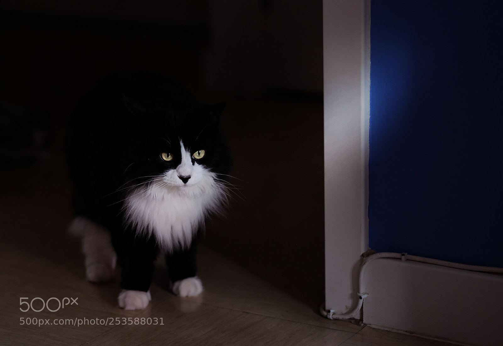 Fujifilm X-T1 sample photo. Out of the darkness photography