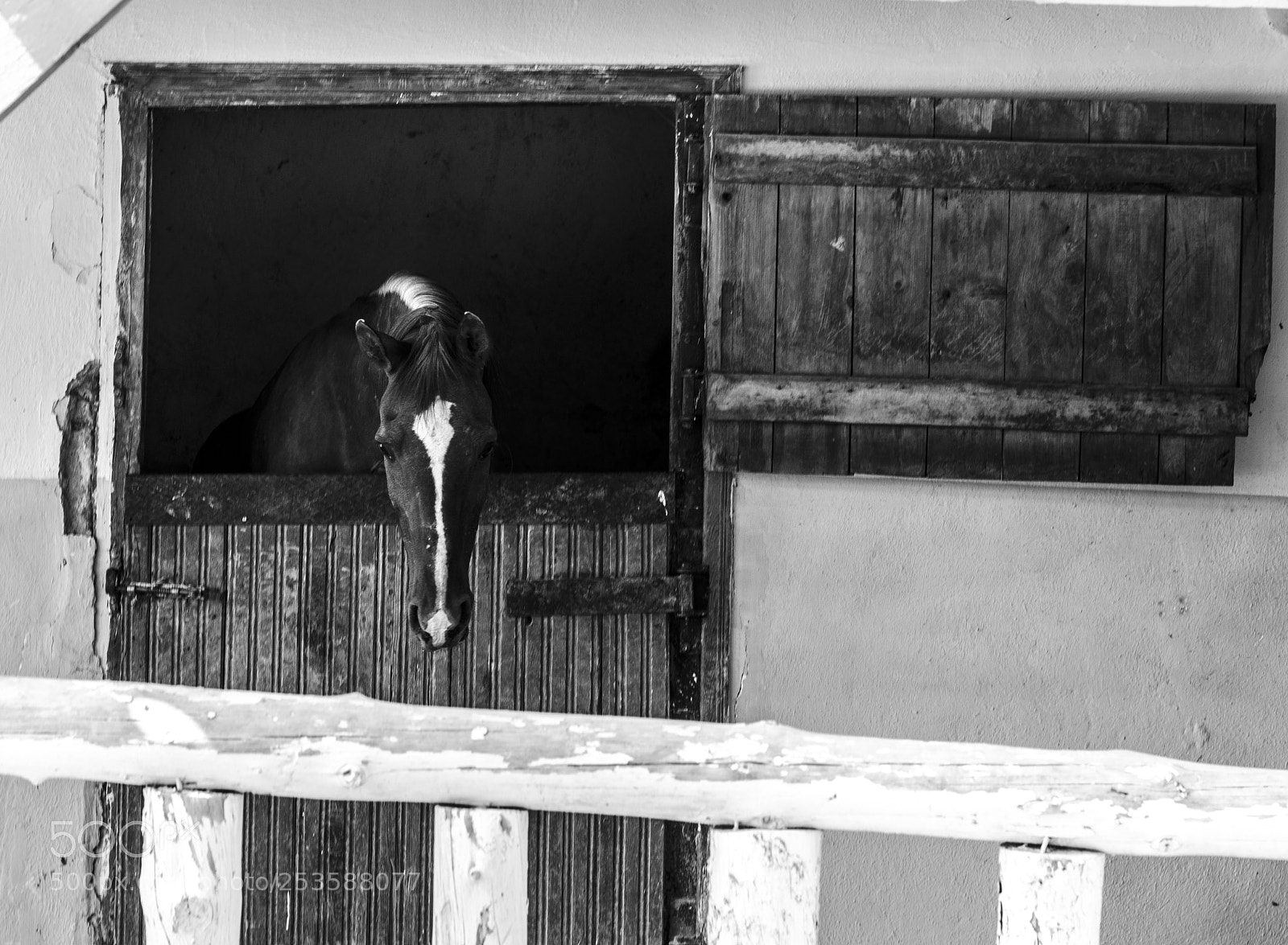 Nikon D5100 sample photo. Stagnante.. photography