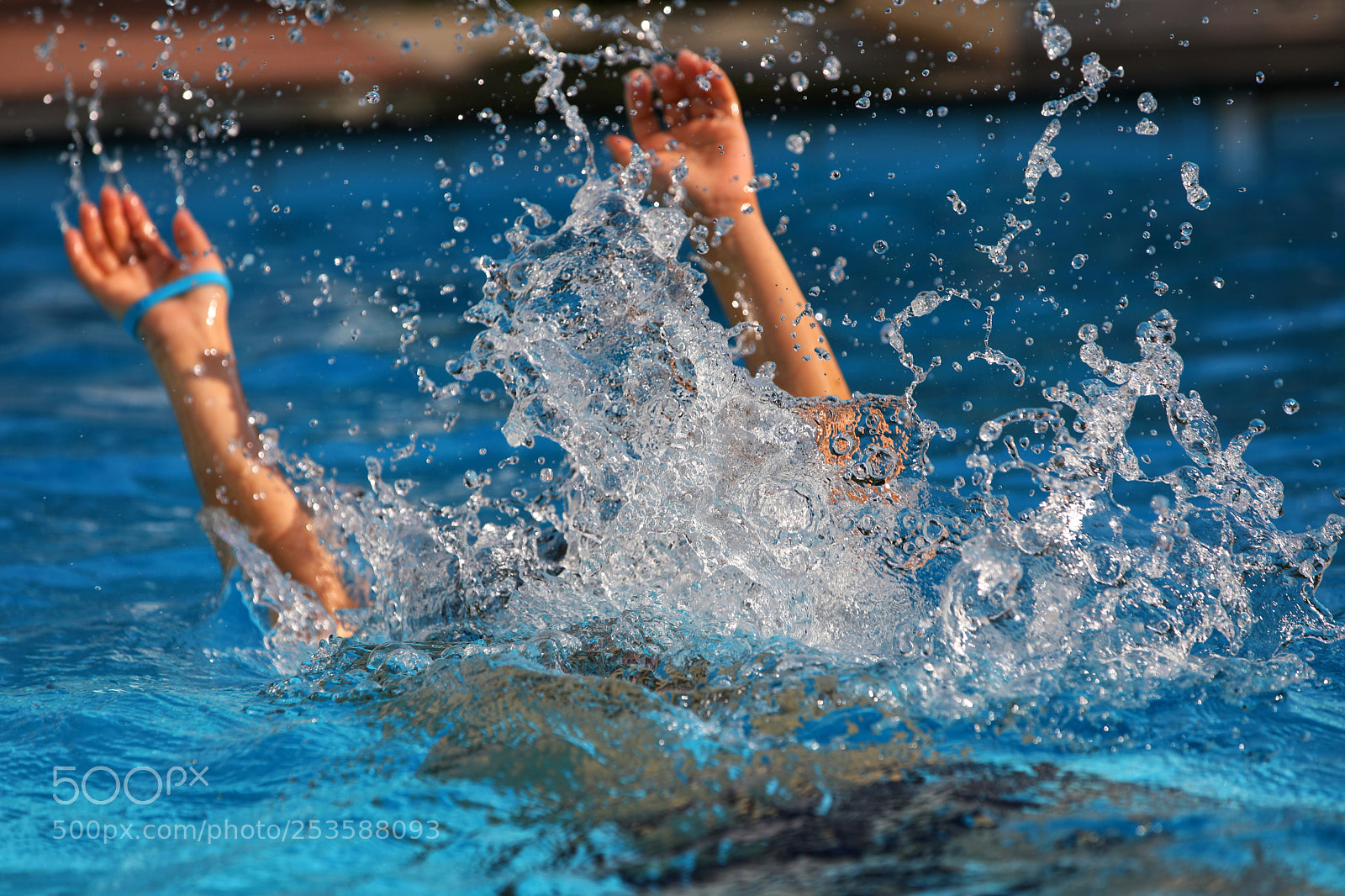 Canon EOS 5D Mark IV sample photo. Untitled photography