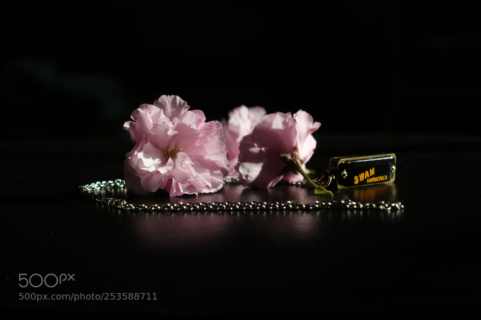 Sony Cyber-shot DSC-RX100 III sample photo. Cherry blossoms and harmonica photography